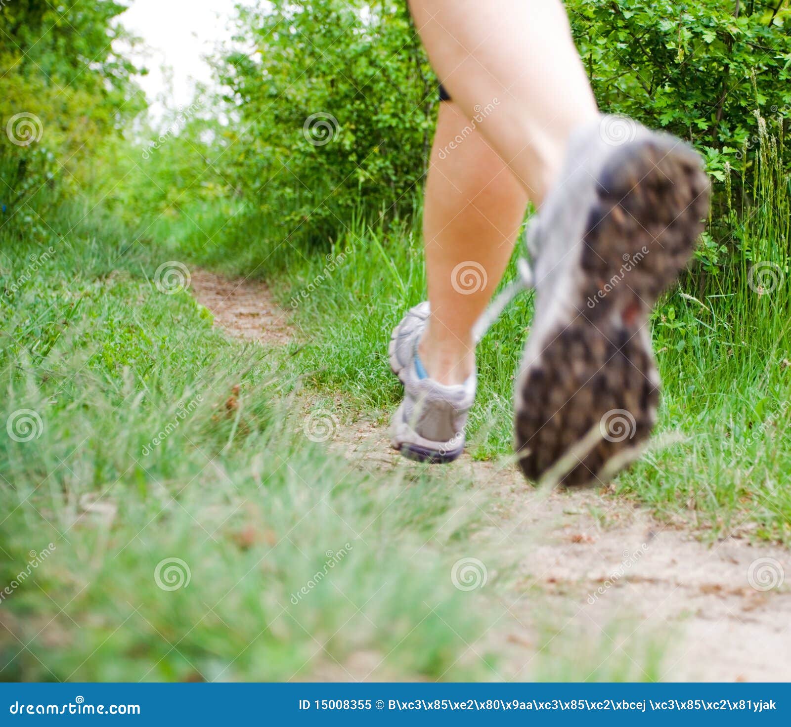 ladies cross country running shoes