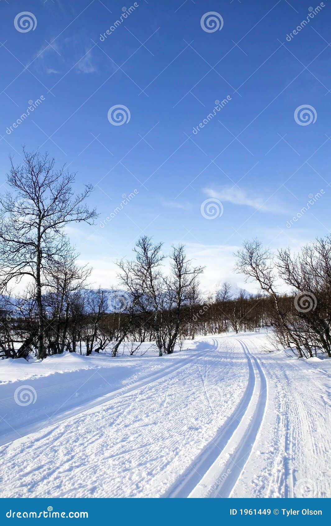 Cross Country Ski Trail stock image. Image of track, tourism 1961449