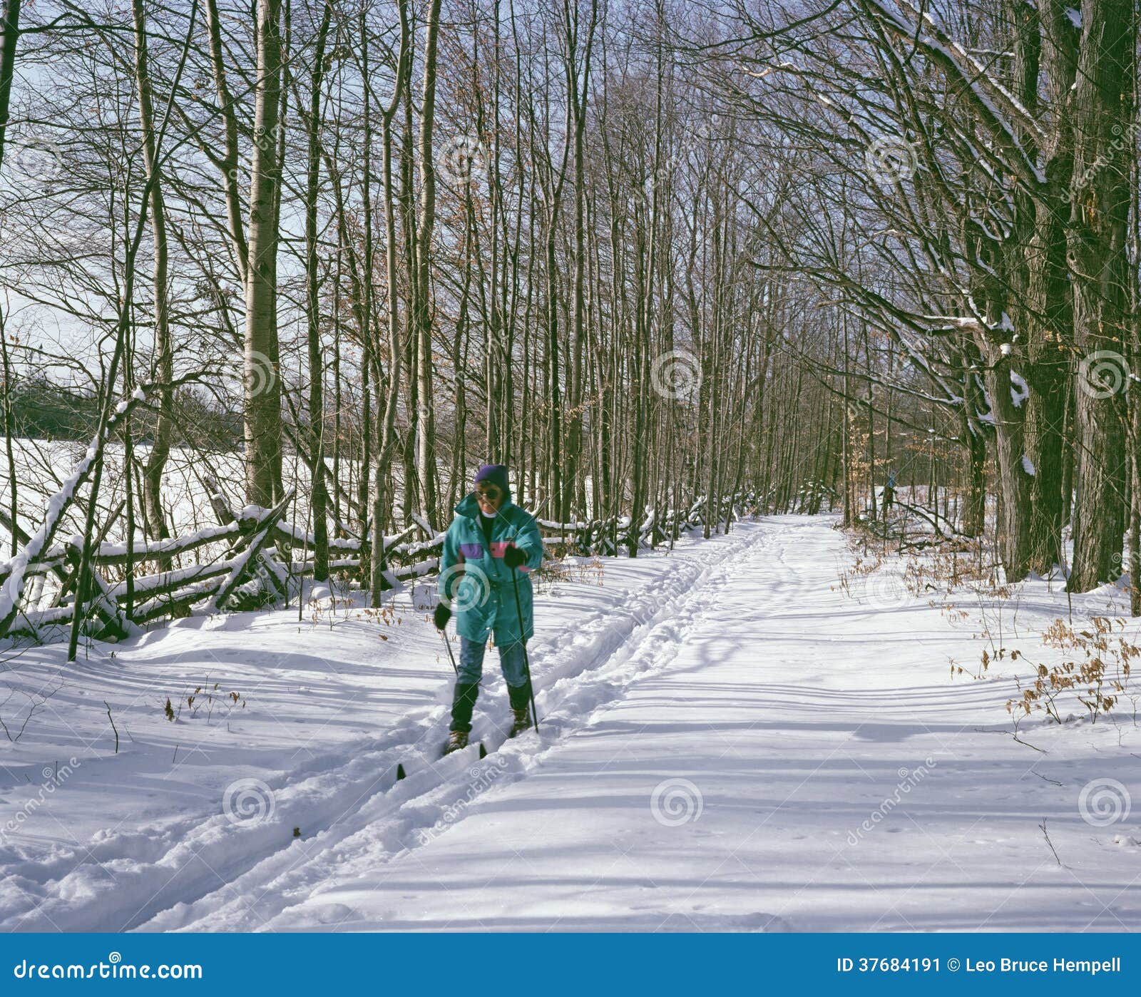 Cross Country Skiing Ontario Canada Editorial Photo Image of ontario