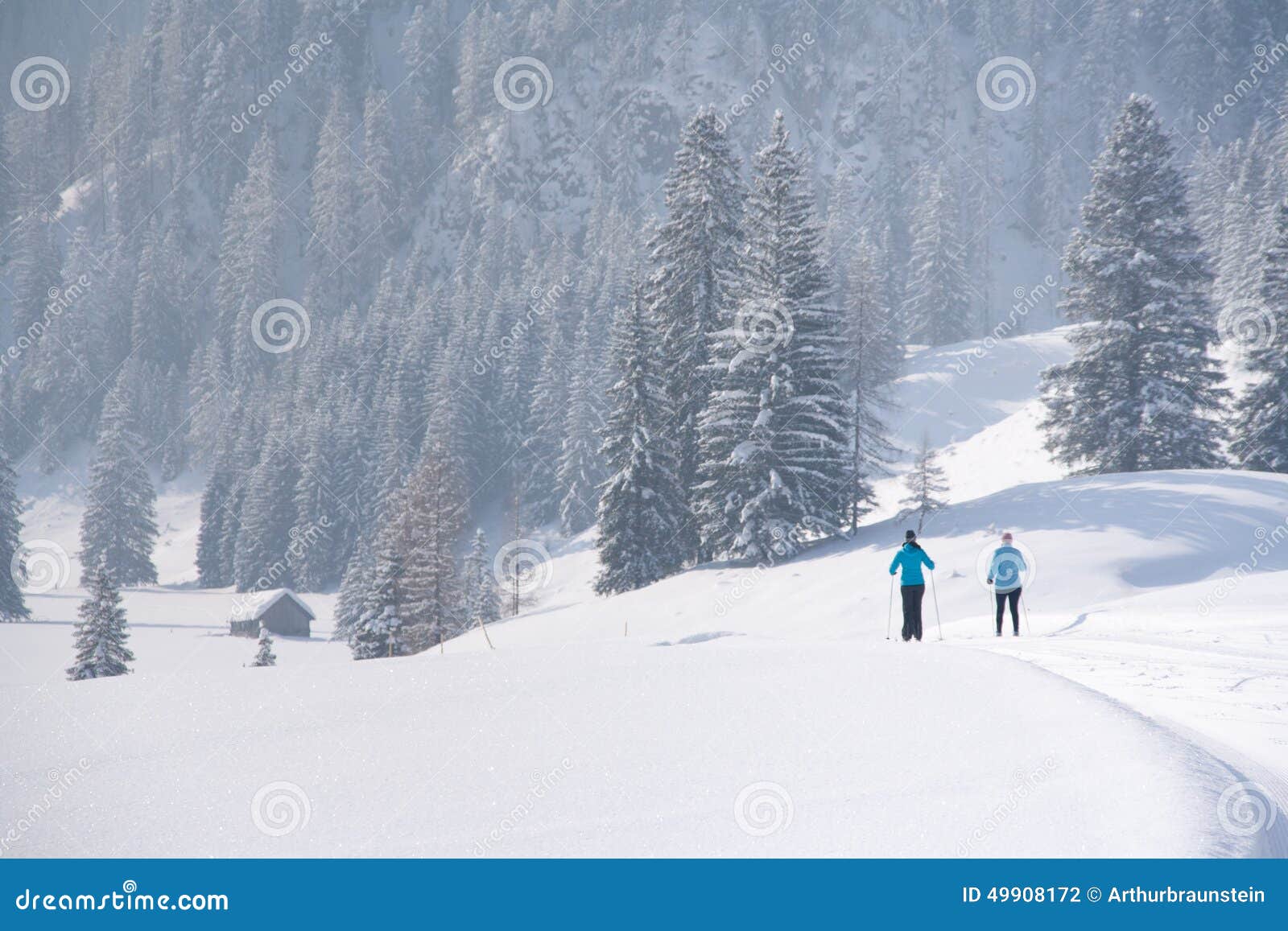 Cross-country Skiing on a Trail in Snowy Landscape Stock Photo - Image ...