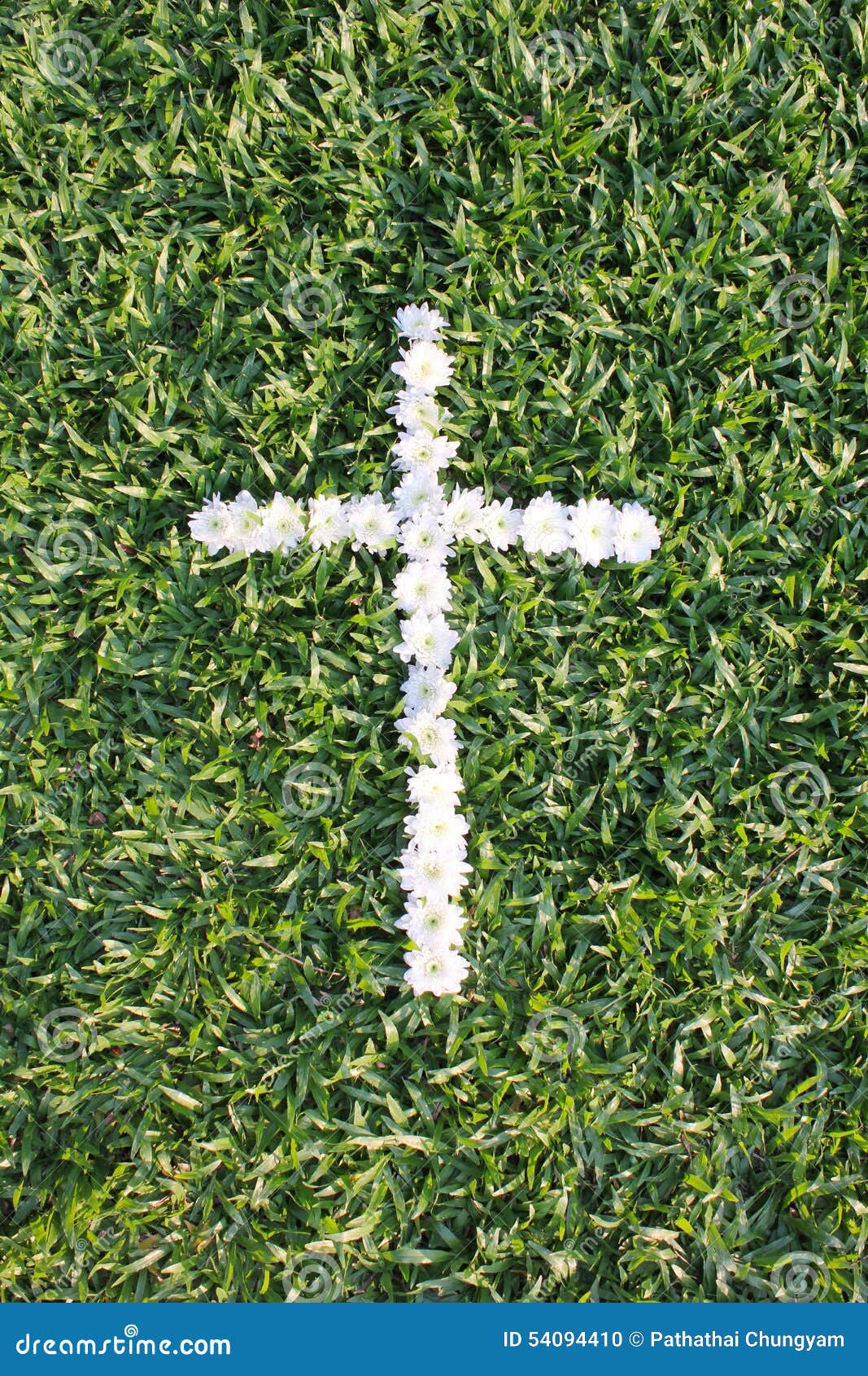 Cross Made from Daisy Flowers Stock Photo Image of environment