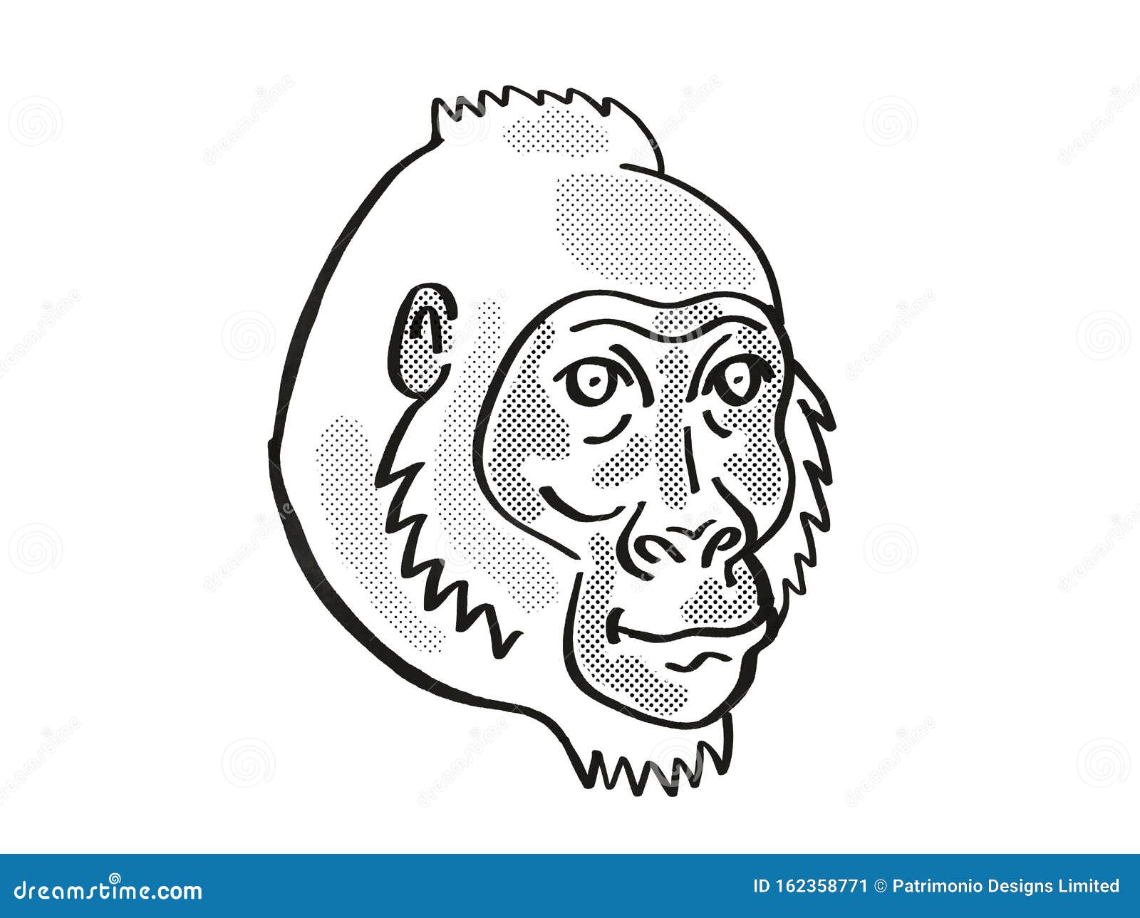 cross river gorilla or gorilla gorilla diehli endangered wildlife cartoon mono line drawing