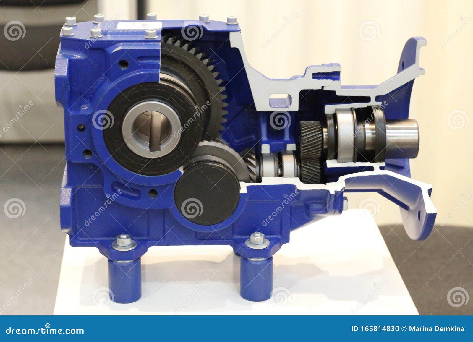 Cross Section of the Gearbox. Worm Gearboxes for Aggressive