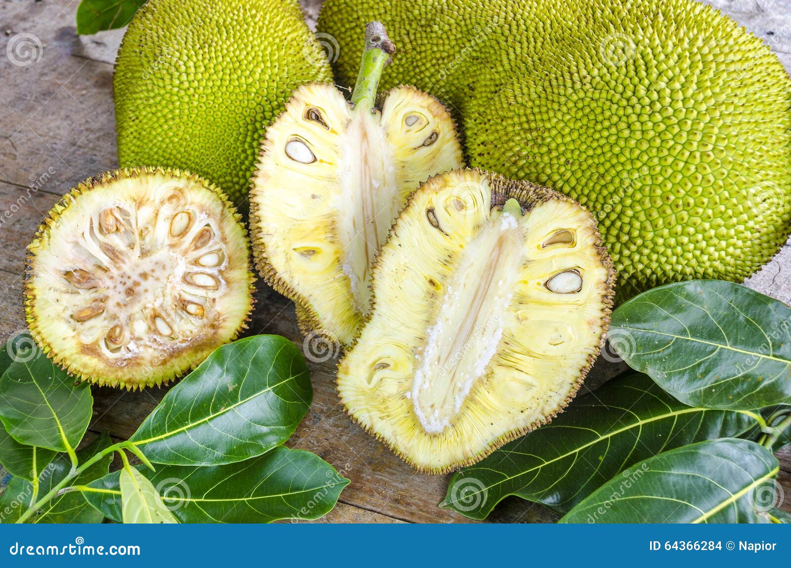 Crosssection of Giant Jackfruit. Stock Photo Image of life, healthy