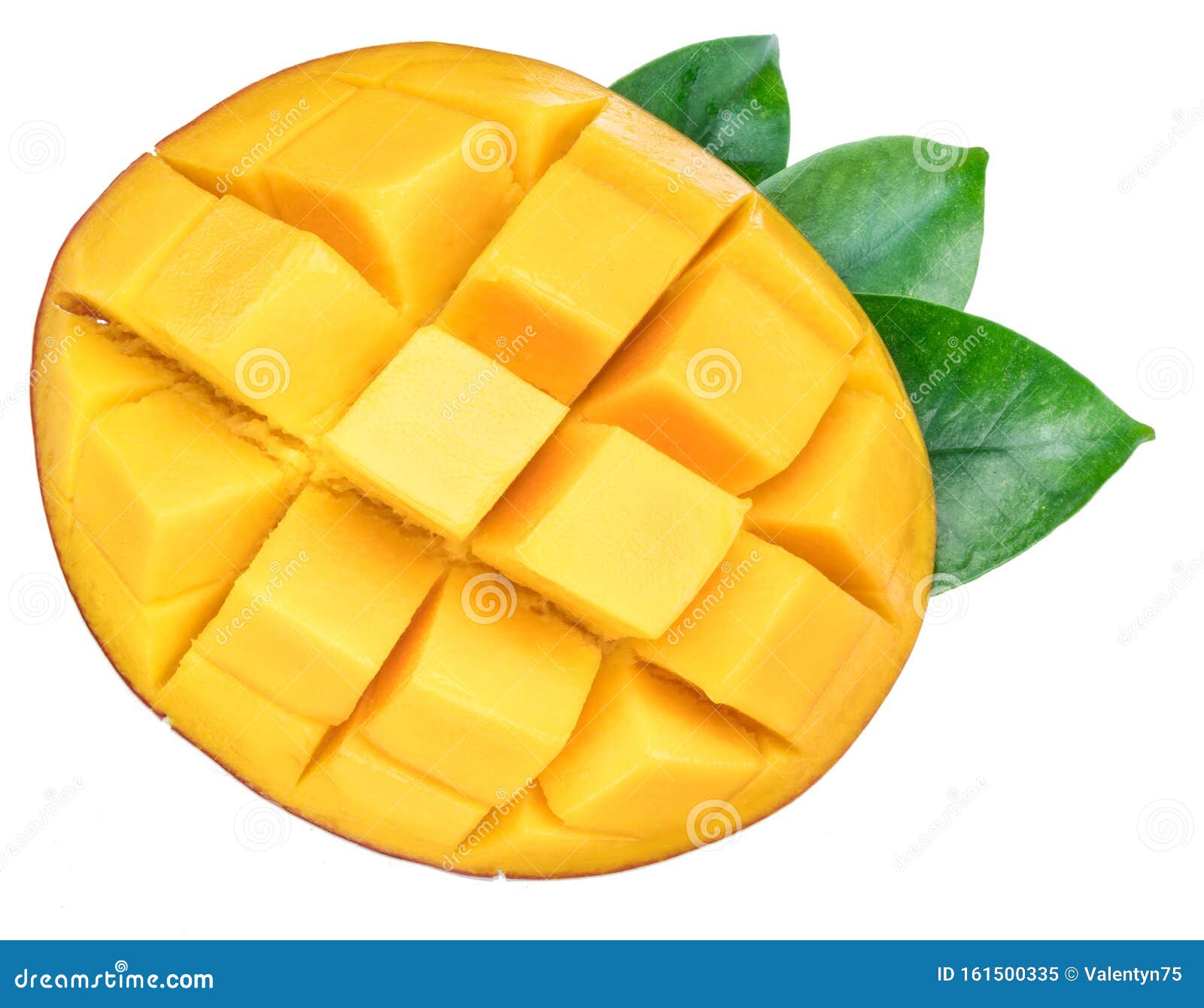Cross Section of Mango Fruit Cut into Cubes with a Leaf. File Contains