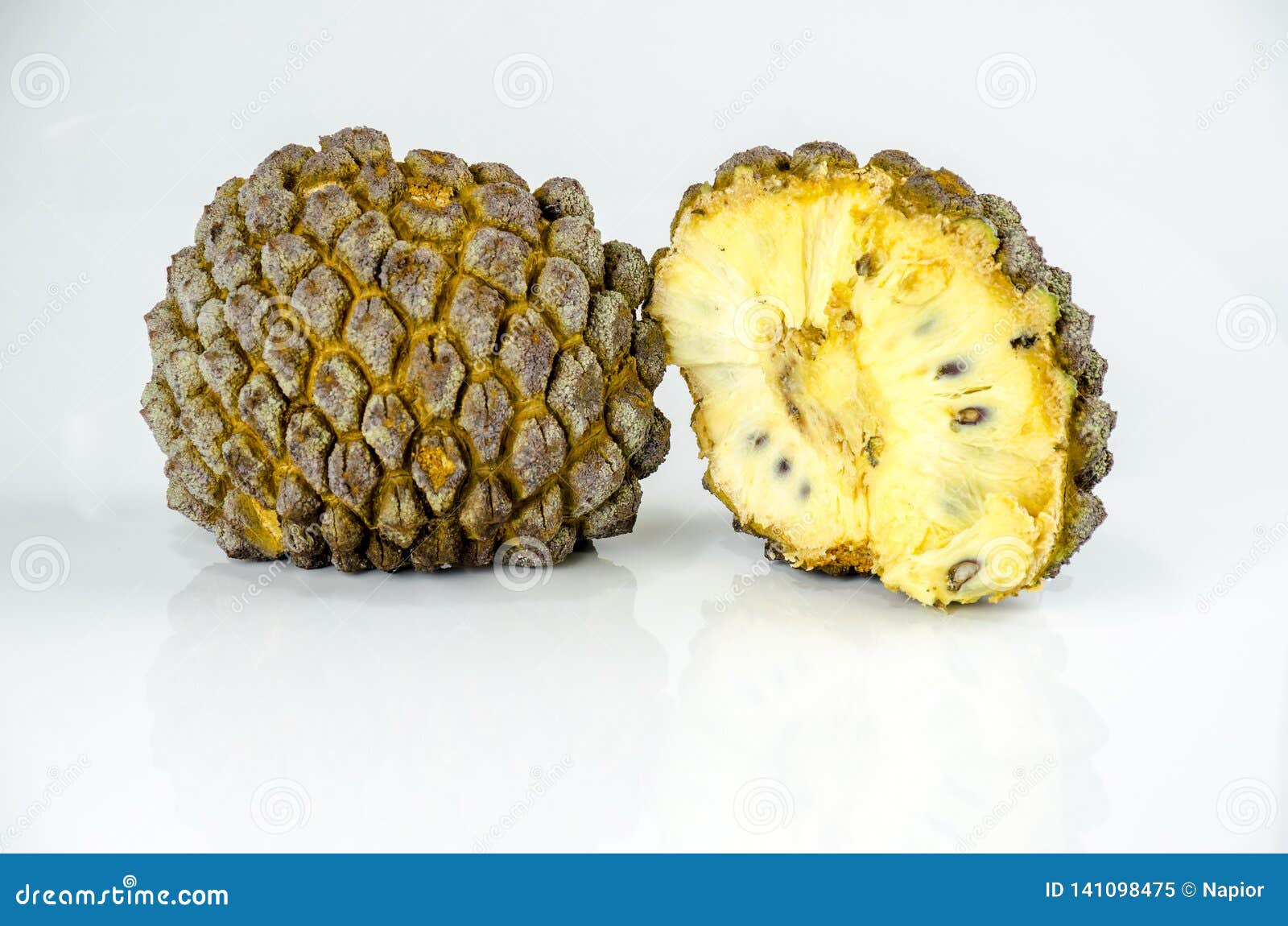 marolo, araticum or bruto fruit . tropical fruit of the original inhabitants of brazil and paraguai. scientific name ; annona