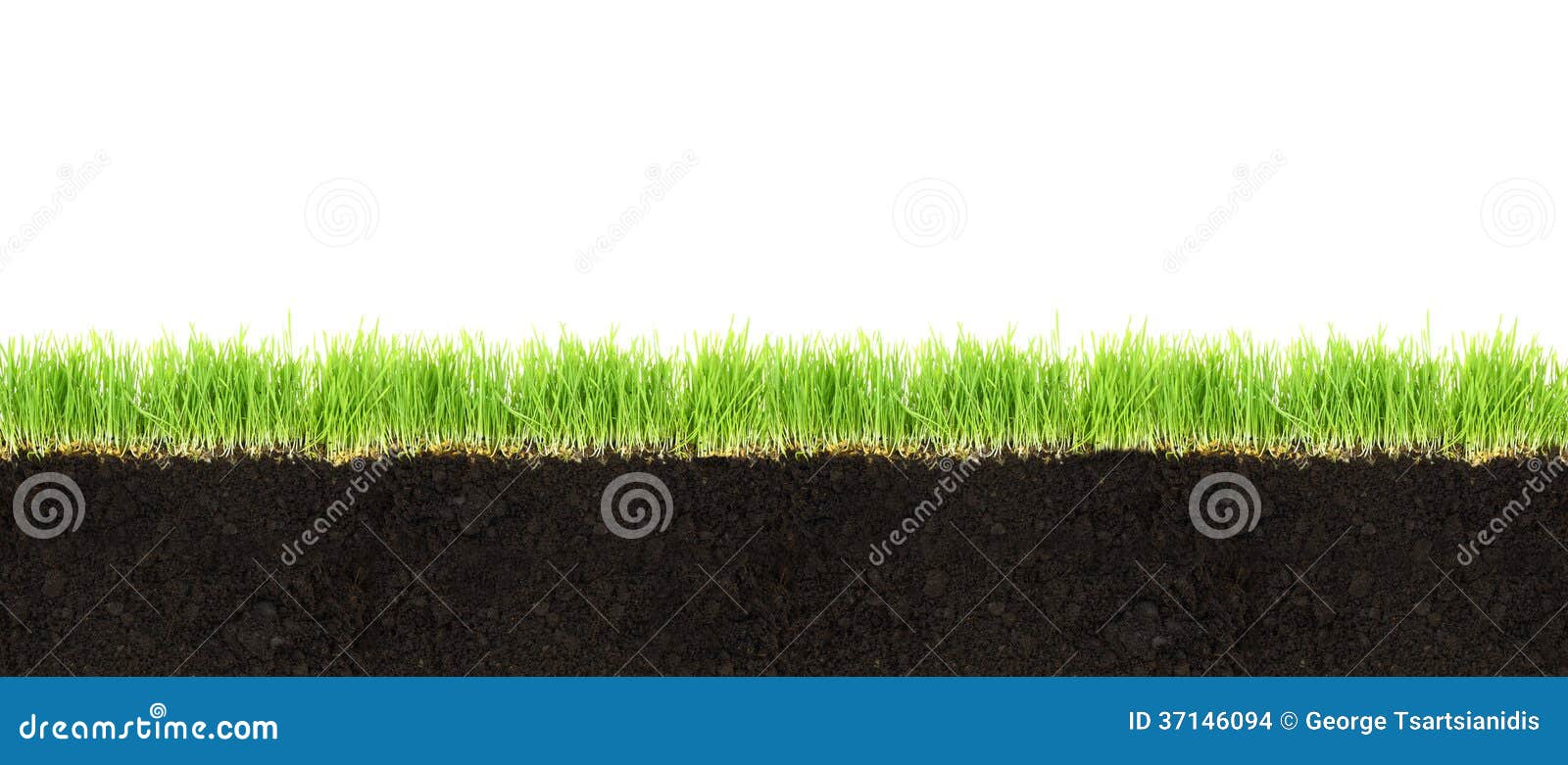 Crosssection Of Soil And Grass Stock Photo Image 37146094