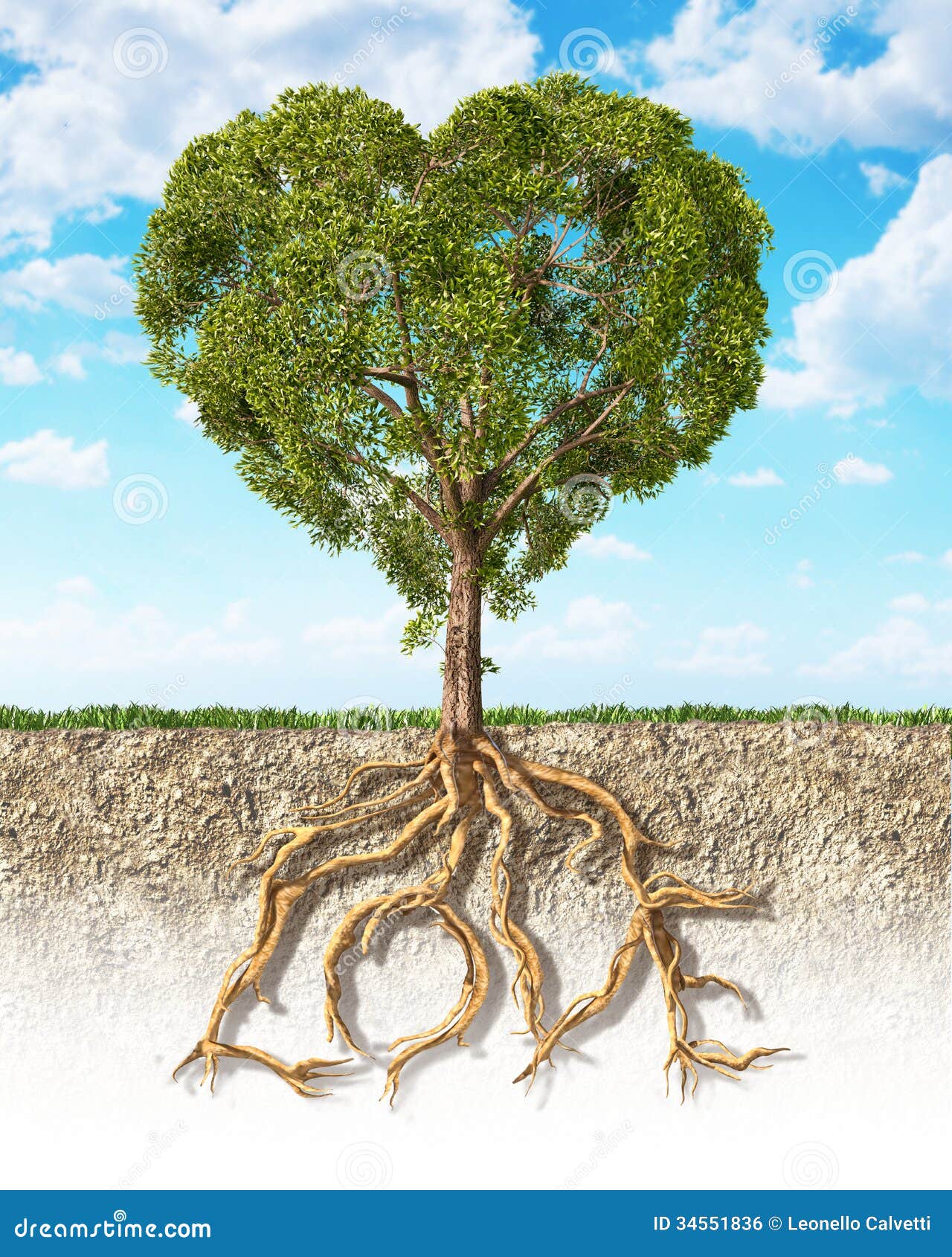 cross section of soil showing a tree heart d, with its root