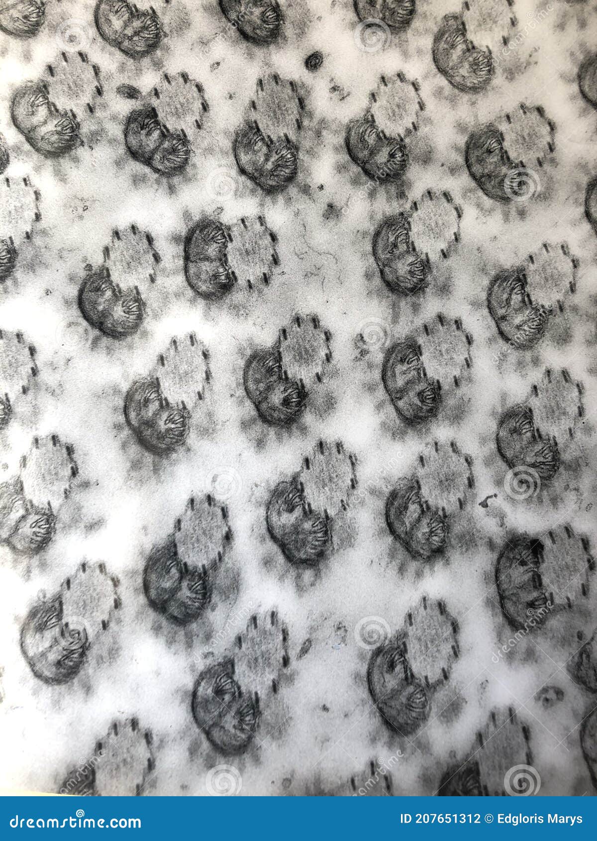 Cross Section Of Spermatozoon Examined Under Electron Microscopy Stock Photo Image Of Leeuwenhoek Male
