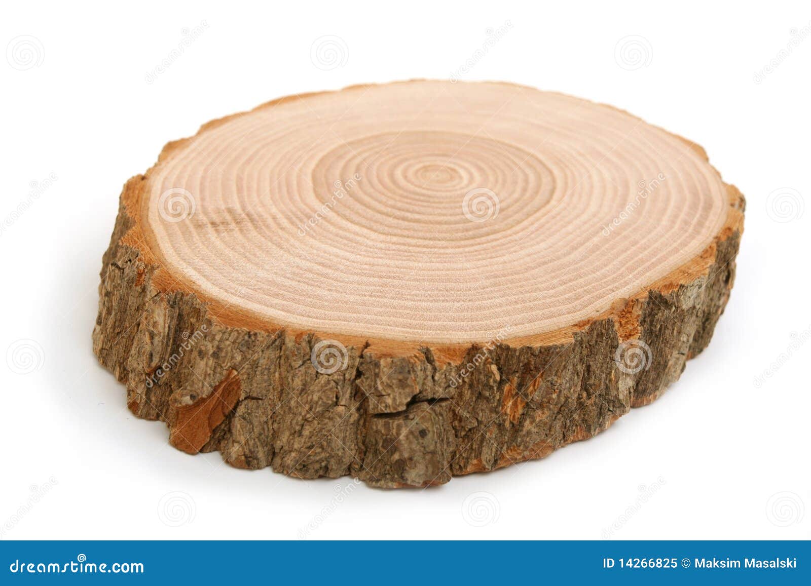 KREA - close up annual rings tree trunk cross section texture high detail  high definition photorealistic 8k