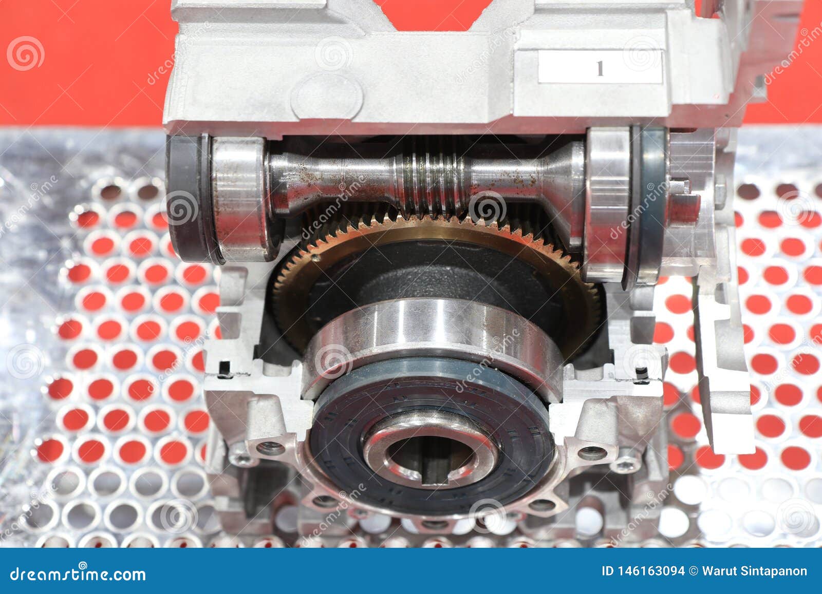 Cross Section of Worm Gear Pump Stock Photo Image of industry, engineering 146163094