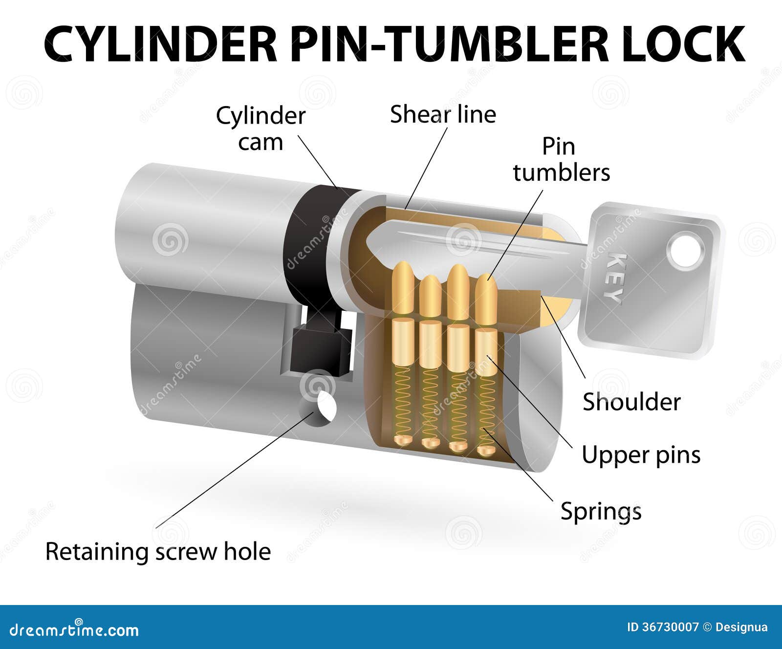 lock tumbler diagram Royalty Of Sectional The The Cylinder Pin Lock View Cross