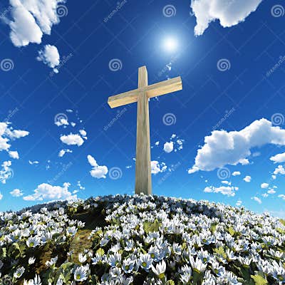 Cross Surrounded by Flowers Stock Photo - Image of landscape, heaven ...