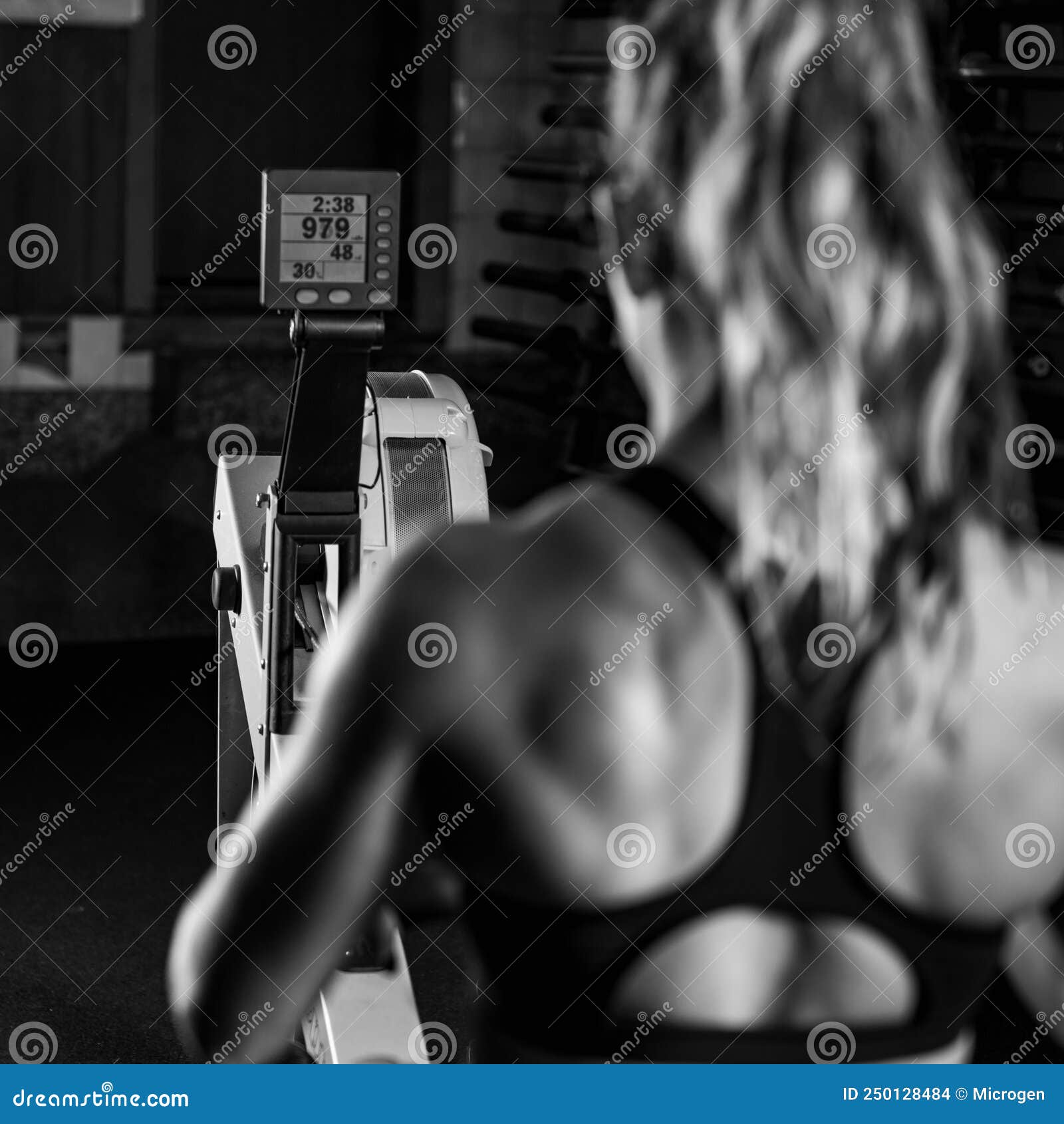Cross Training. Rowing Machine Exercising Stock Photo Image of