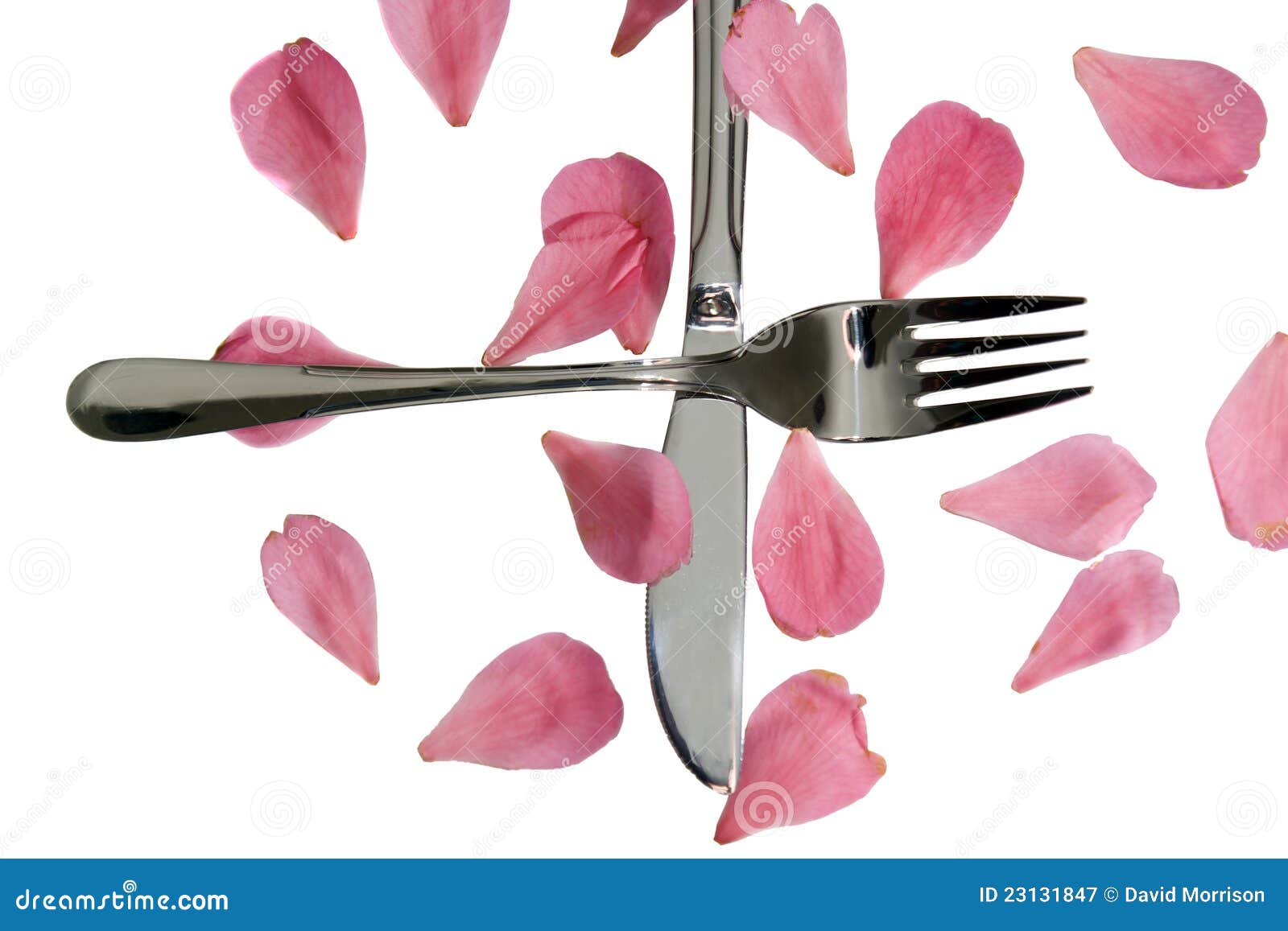 Crossed Silver Fork and Knife with Rose Petals Stock Image Image of