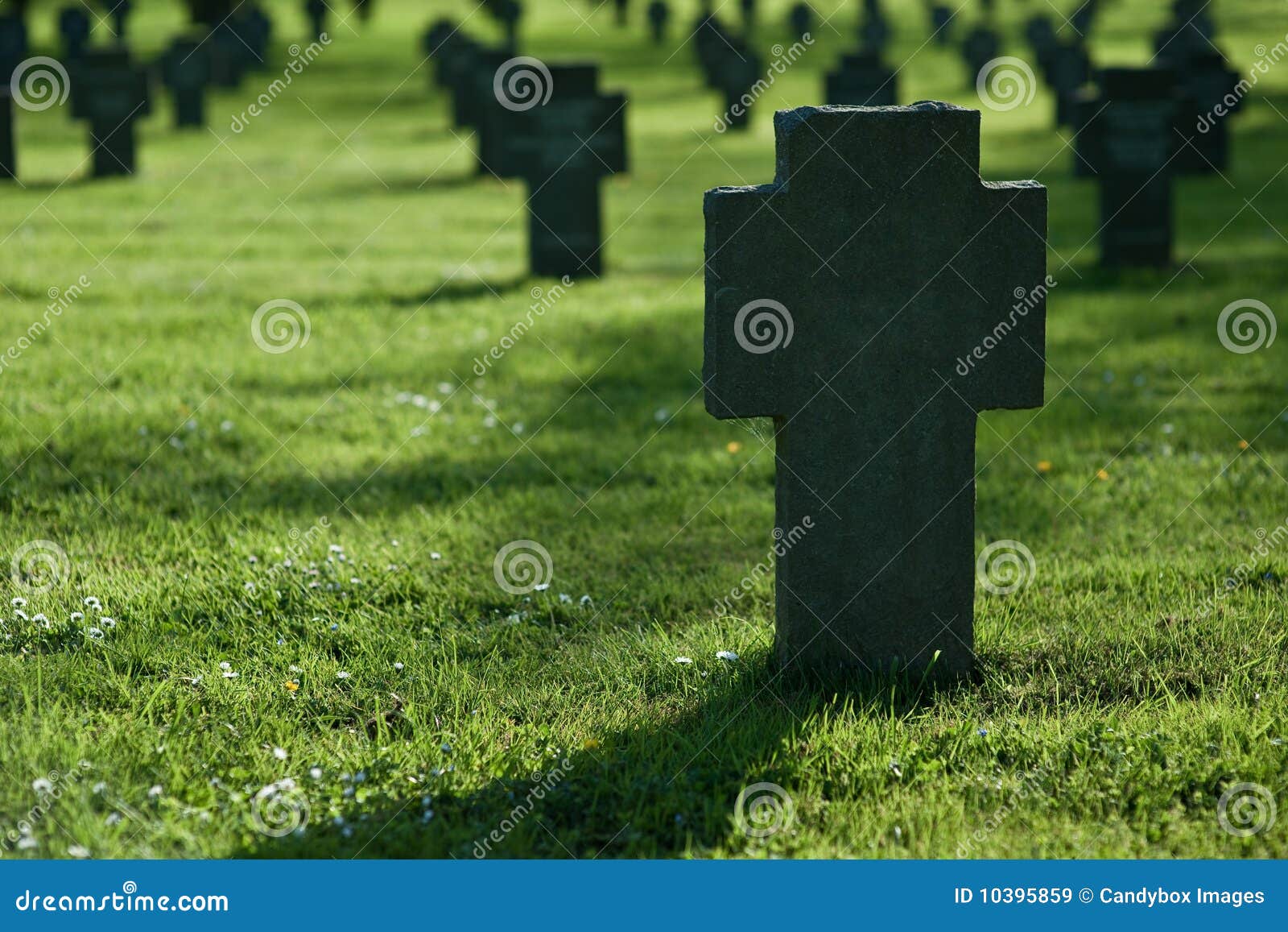 Crosses in Grass on Cemetery Stock Image Image of gravestone, shadow