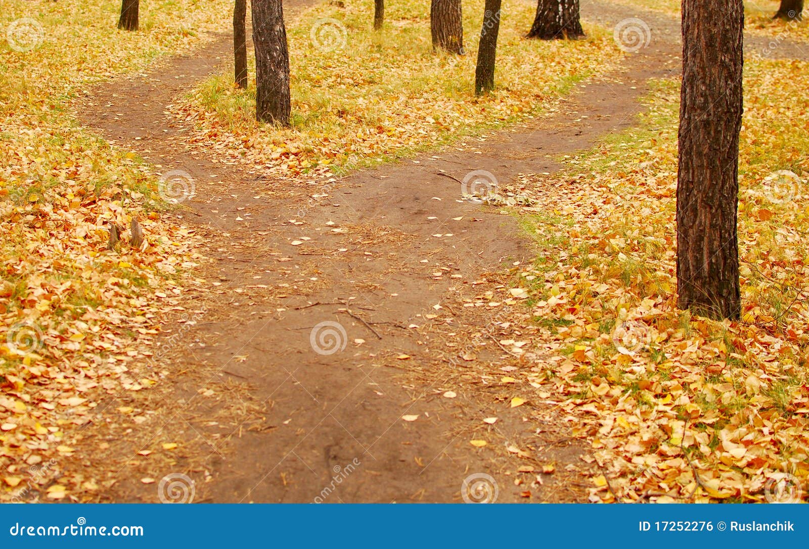 Crossroads Royalty Free Stock Image - Image: 17252276