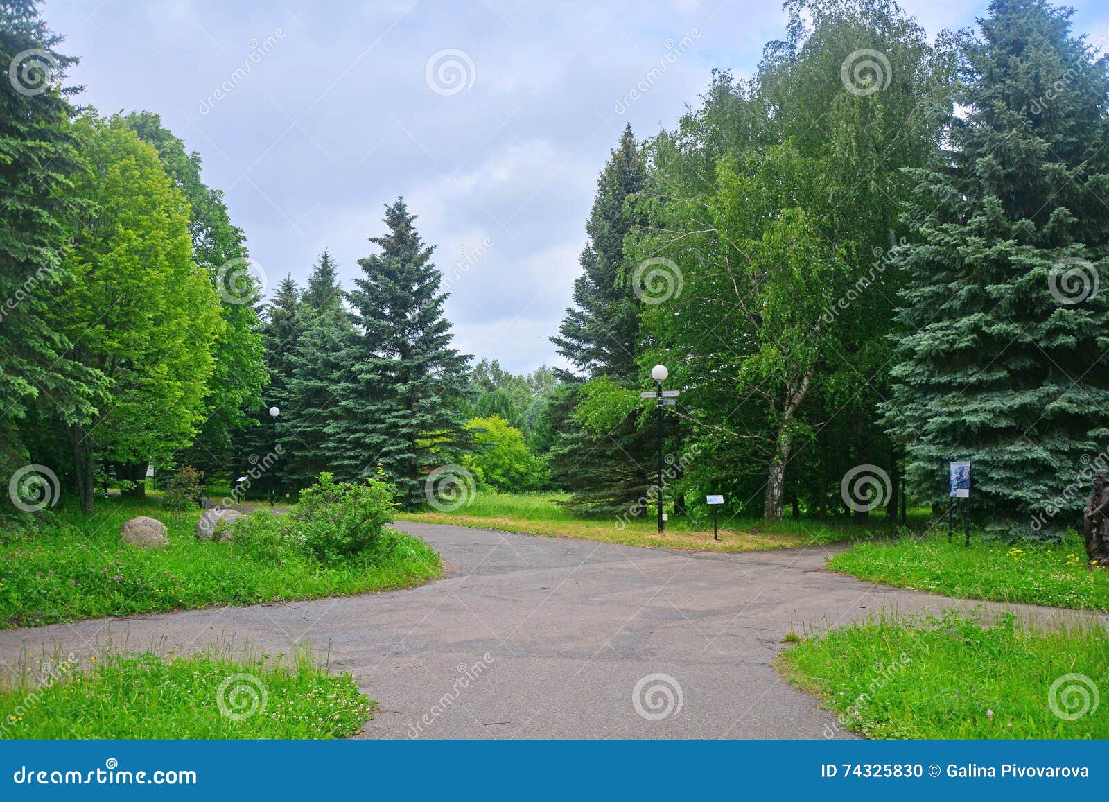 Crossroads In Dendrology Garden In Pereslavl Zalessky City Stock