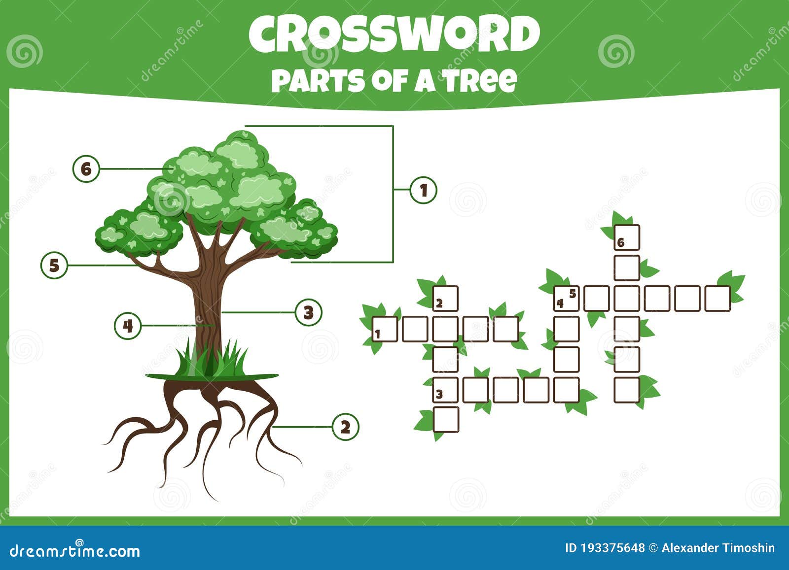 Crossword with Parts of Tree. Parts of a Tree. Stock Vector Regarding Parts Of A Tree Worksheet