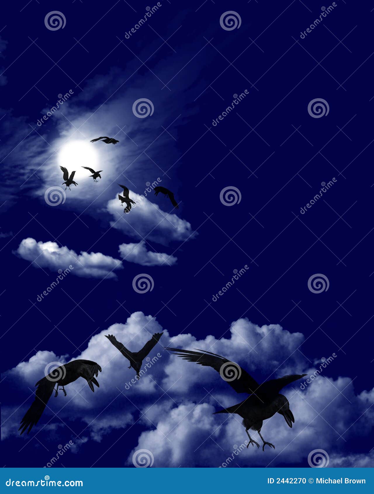 crow flock in moonlit skyscape