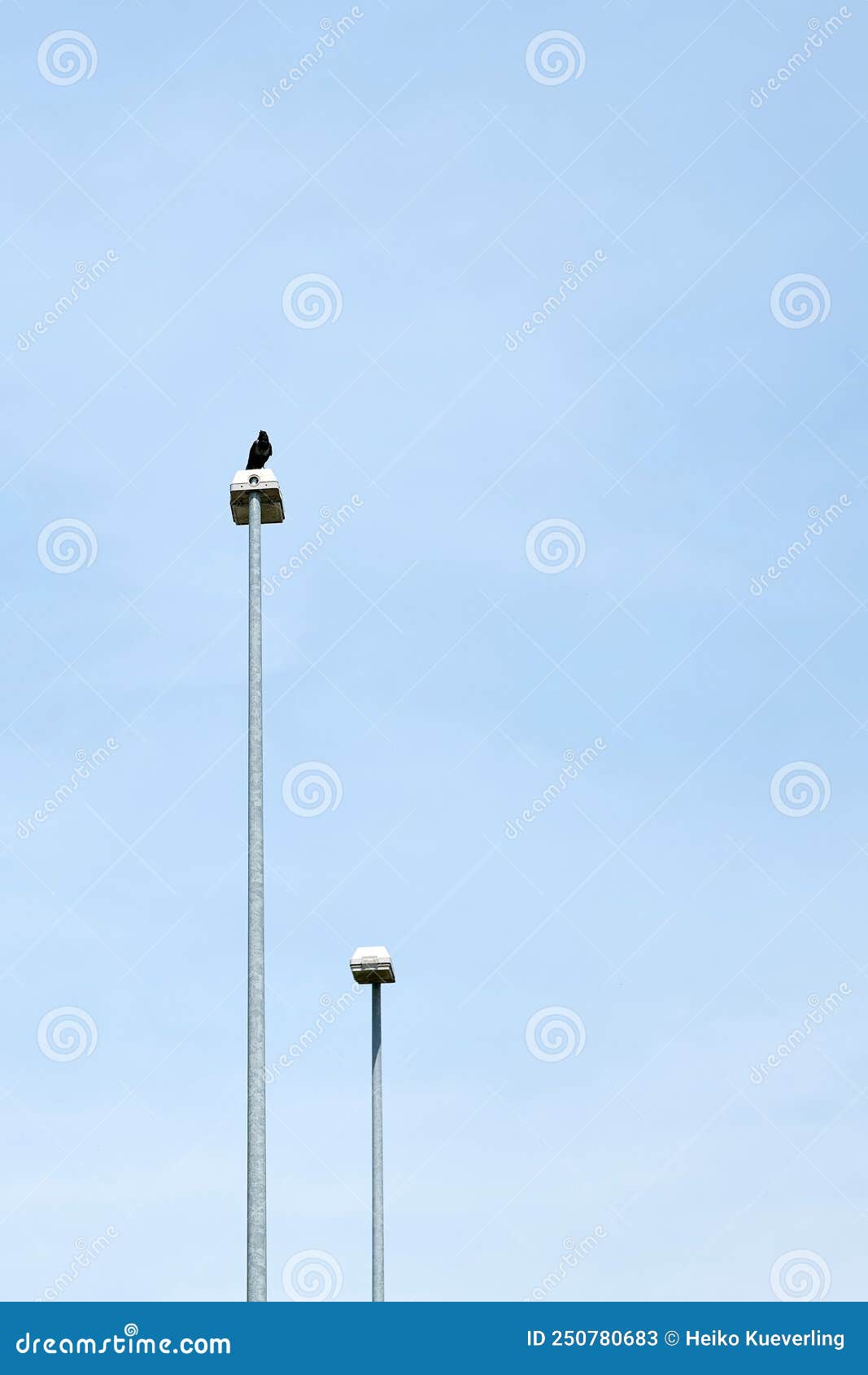 crow on a lantern. style of minimalism.