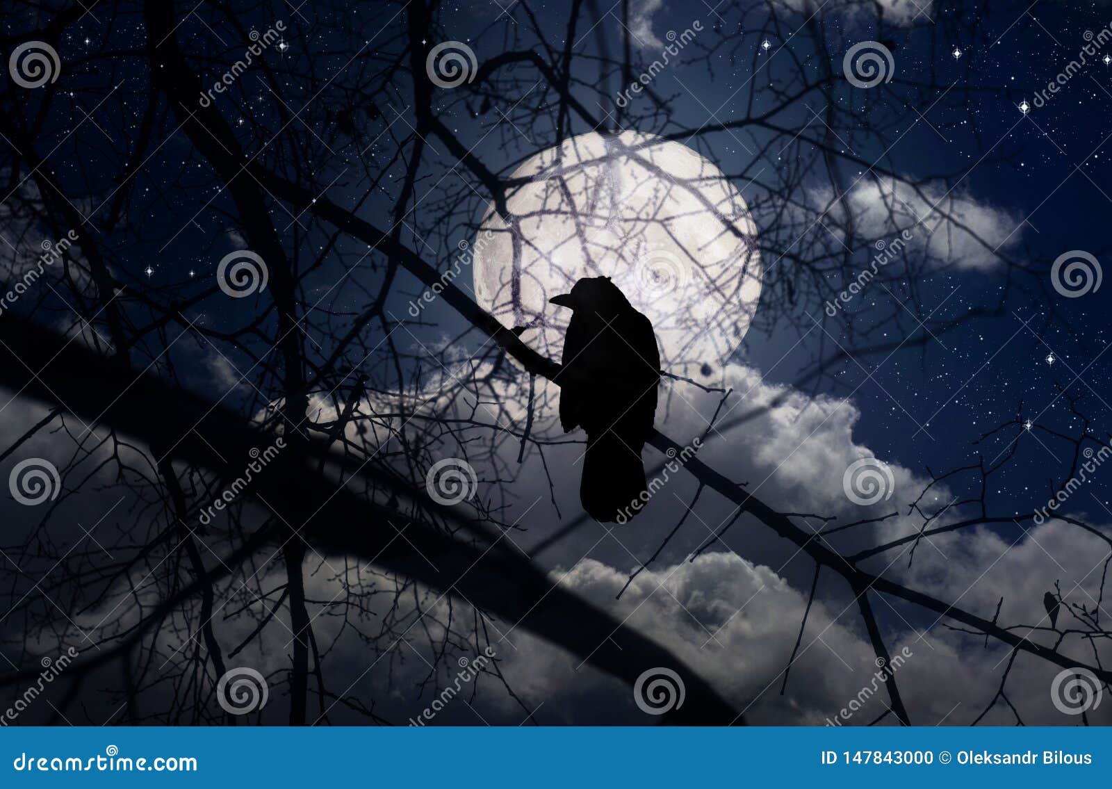Raven on Branches in a Moonlit Night Stock Photo - Image of cloud, full