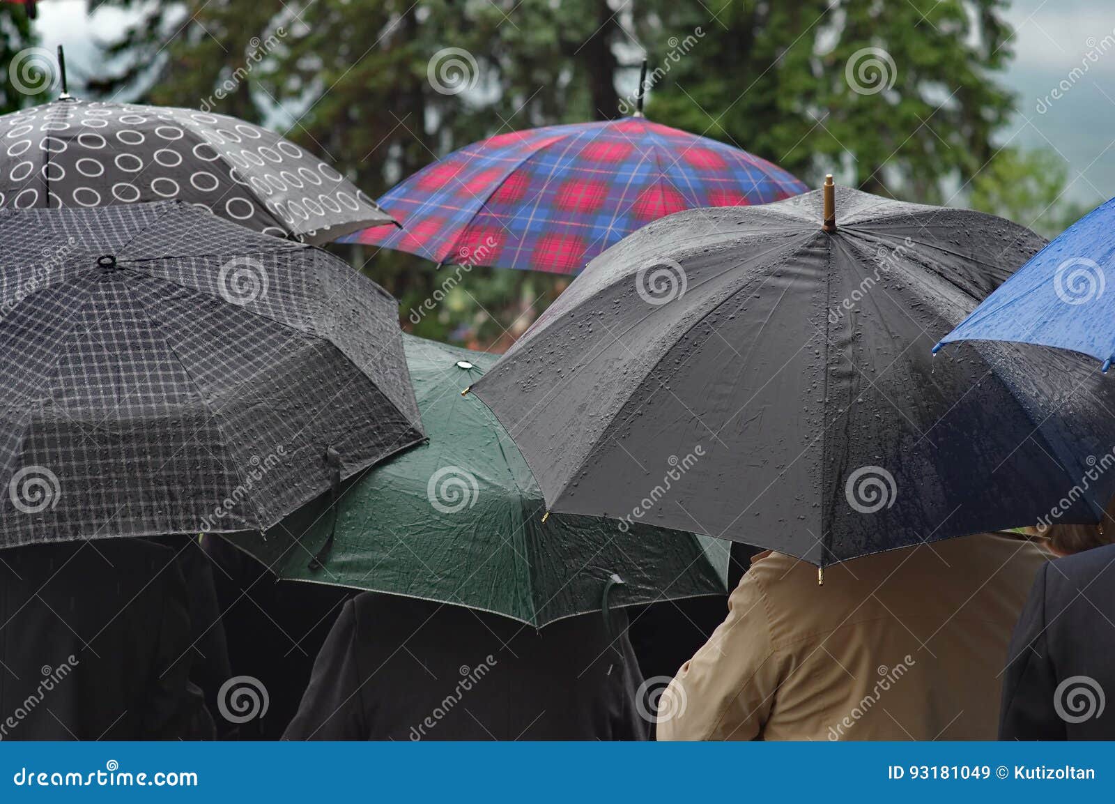 Crowd with Umbrellas in the Rain Stock Image Image of forecast, group