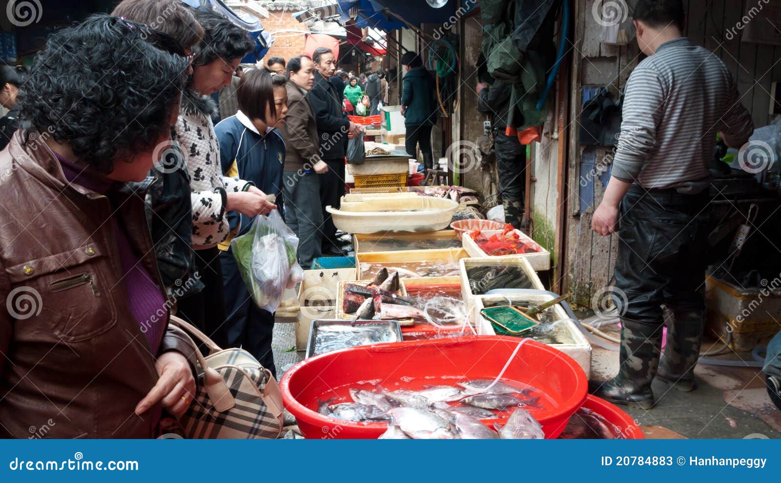 Crowded Fish Market Stall, China Editorial Stock Photo Image of