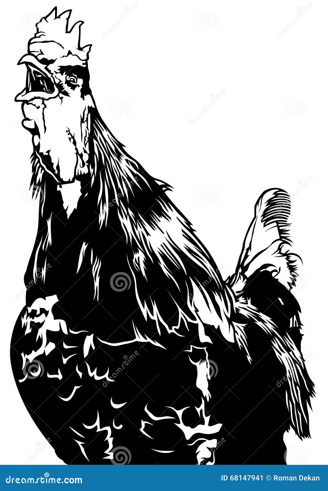 Crowing Rooster stock vector. Illustration of gallinaceous - 68147941
