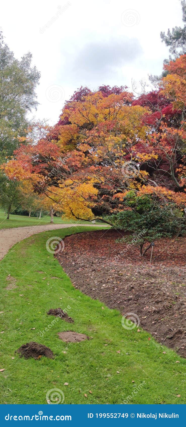 The Crown Estate Windsor Great Park Stock Image Image of windsor