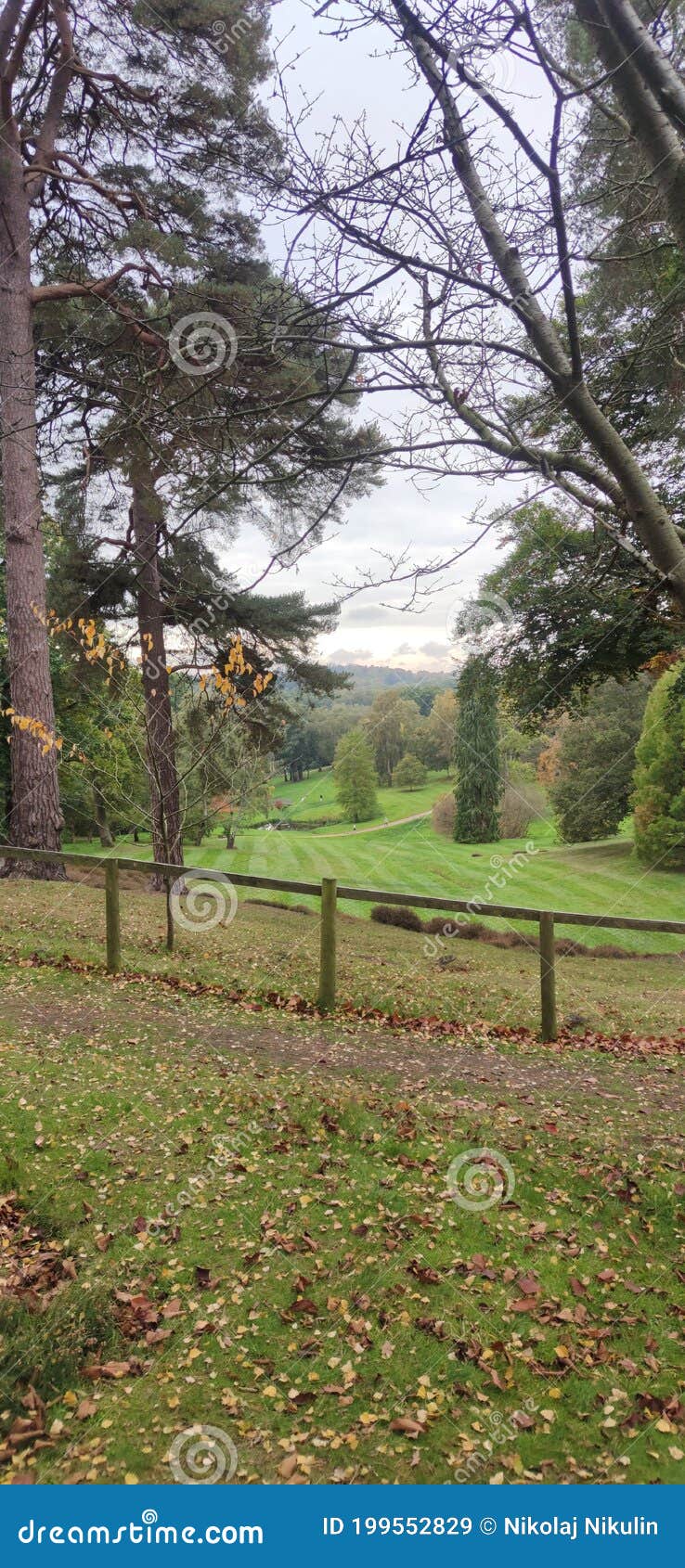 The Crown Estate Windsor Great Park Stock Image Image of crown, estate 199552829