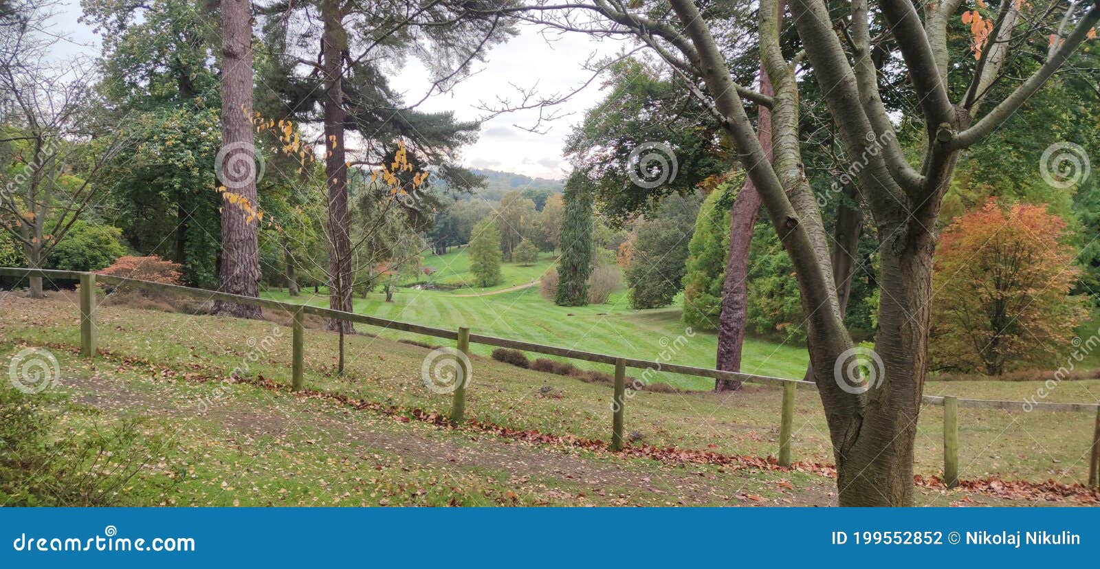 The Crown Estate Windsor Great Park Stock Photo Image of shrub, meadow 199552852