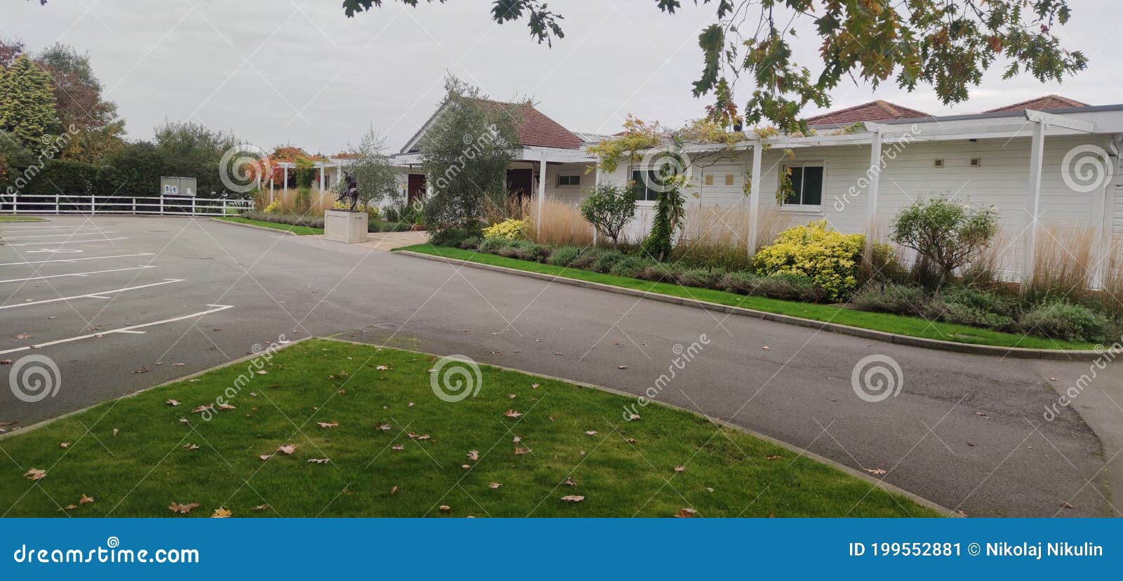 The Crown Estate Windsor Great Park Stock Image Image of plant, suburb 199552881