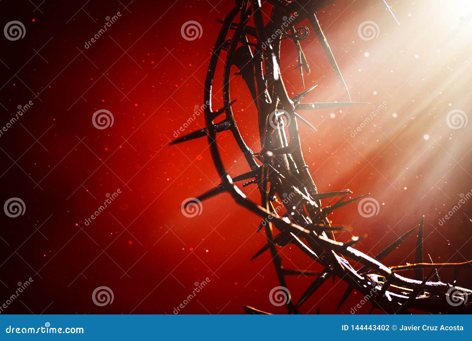 crown of thorns an emblem of christ`s passion