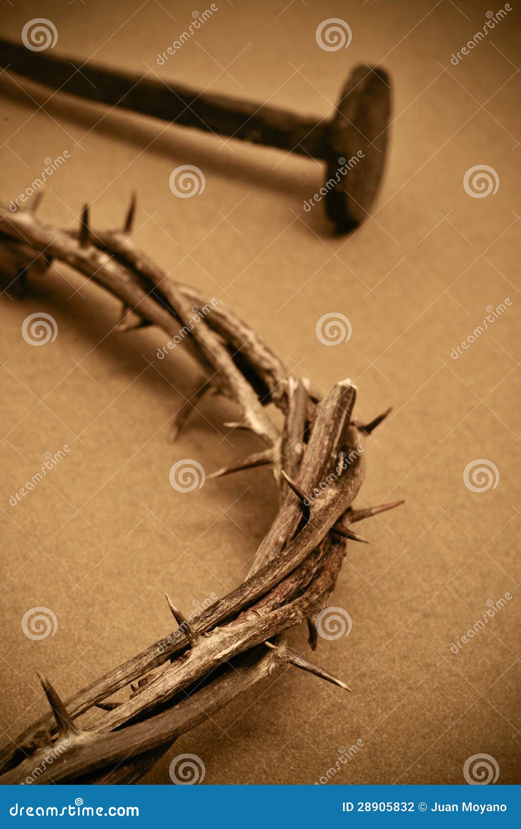 Crown Of Thorns With Nail Stock Photo - Download Image Now - Crown Of Thorns,  Nail - Work Tool, Cut Out - iStock