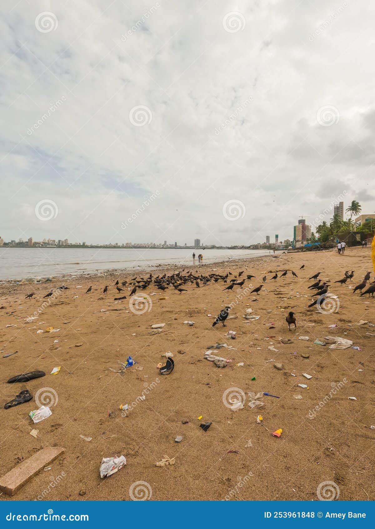 crows sitting at beach at dadar chowpatty, mumbai, india