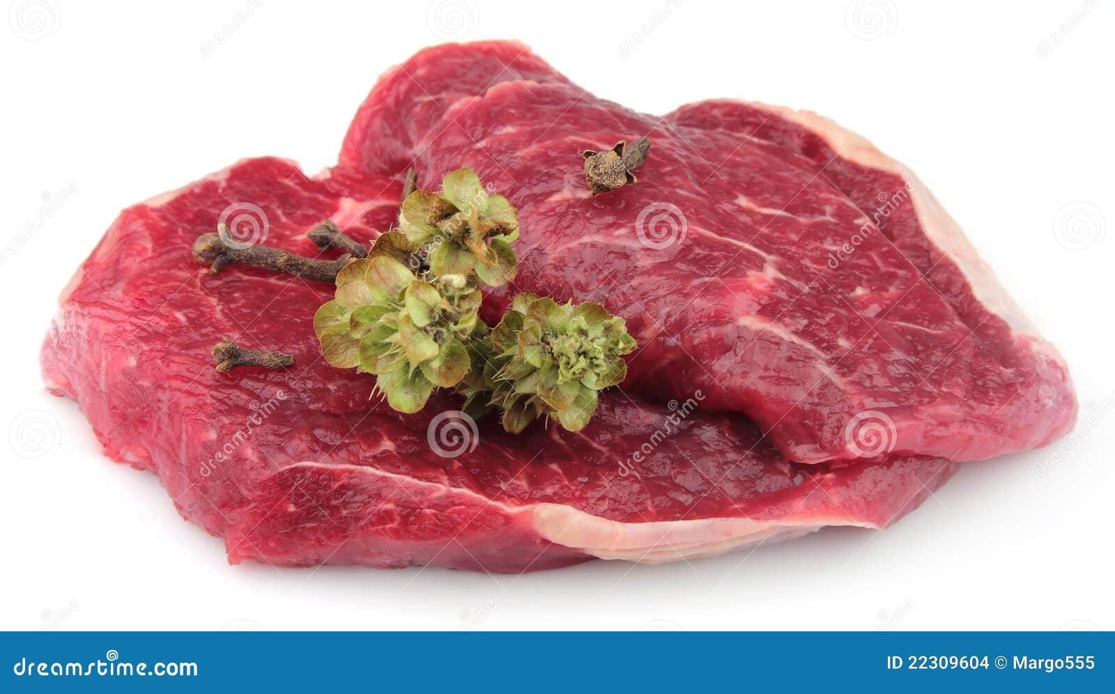 Crude Meat with Dried Spice Stock Photo Image of dried, pork 22309604
