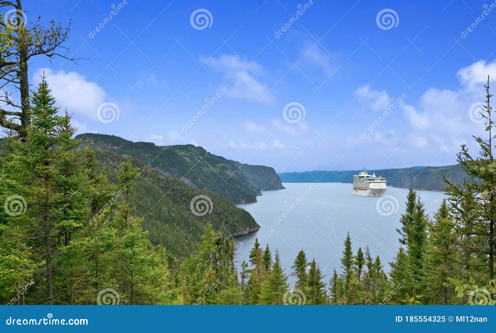 cruise ship on the river