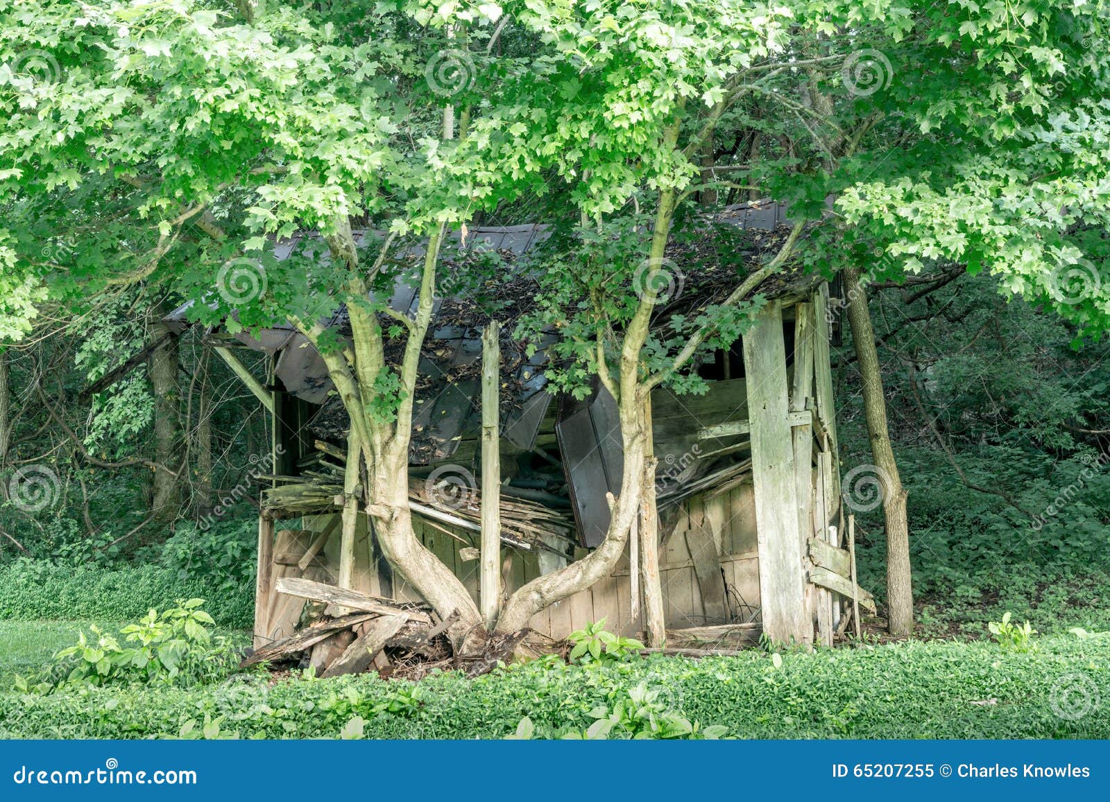 Crumbling Moonshiners Shack in Alabama Stock Image Image of homestead