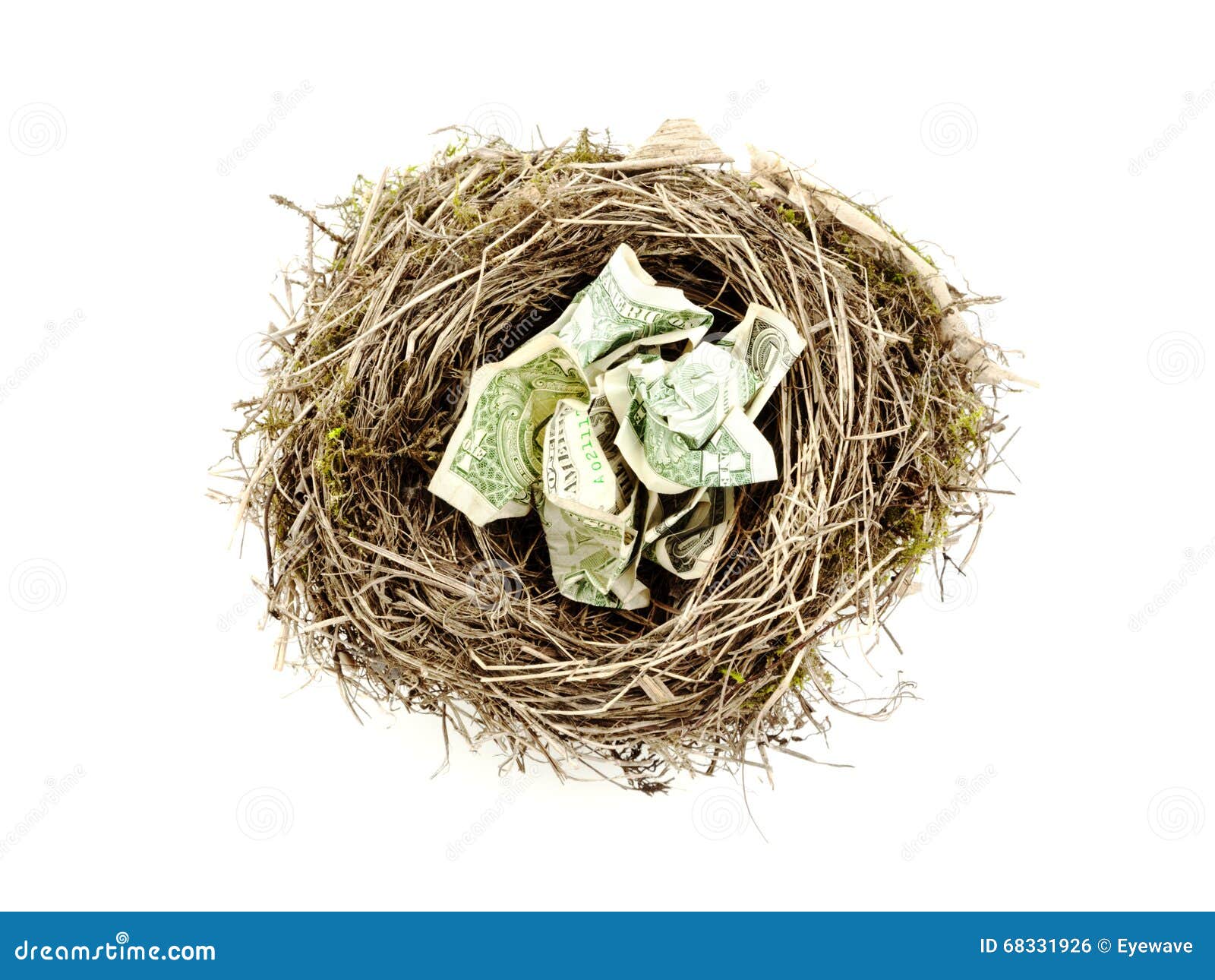 Crumpled Dollar Bills in Bird Nest Stock Photo Image of white, bird 68331926