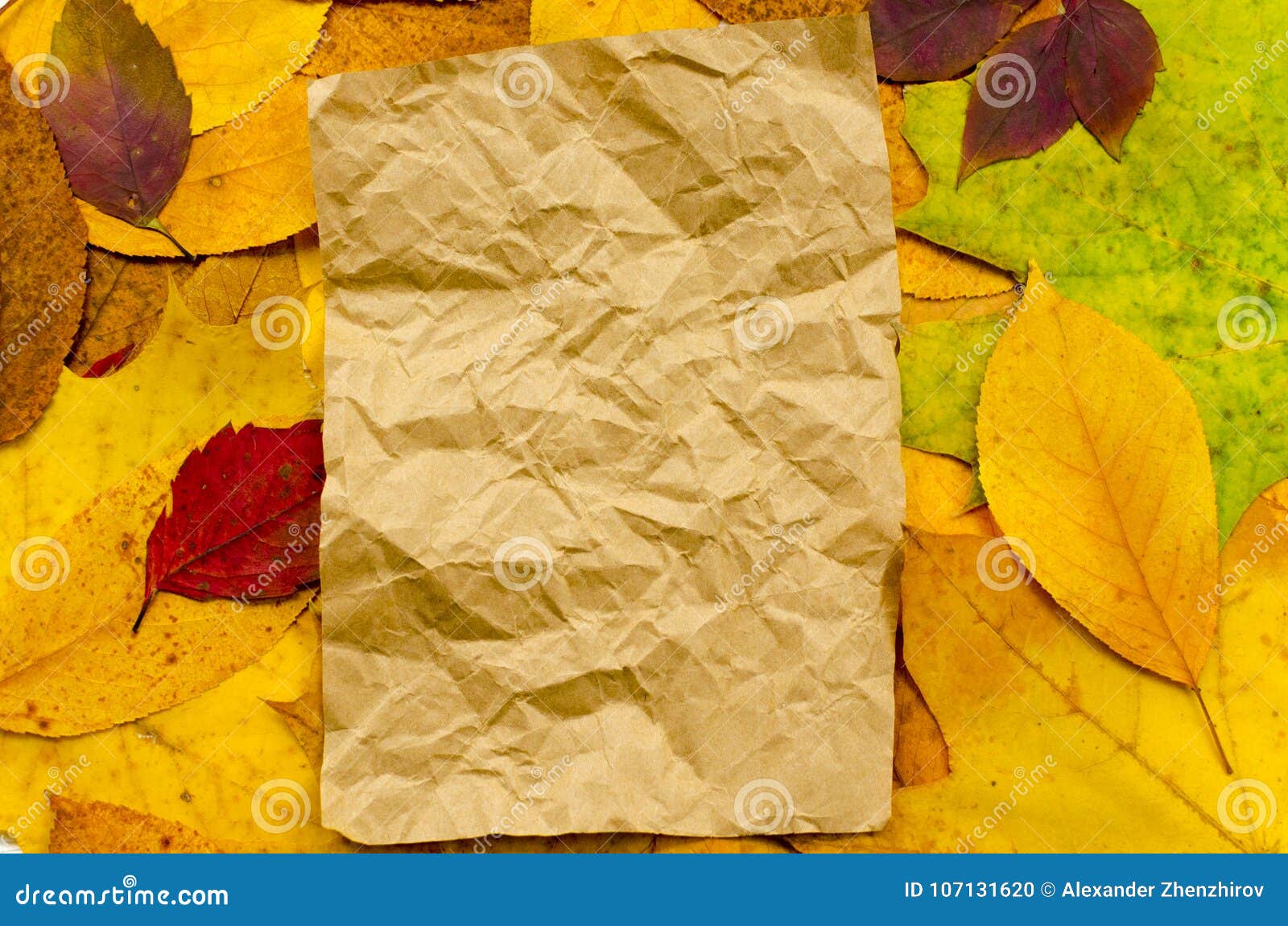 crumpled-sheet-of-craft-paper-on-colored-autumn-leaves-background-with