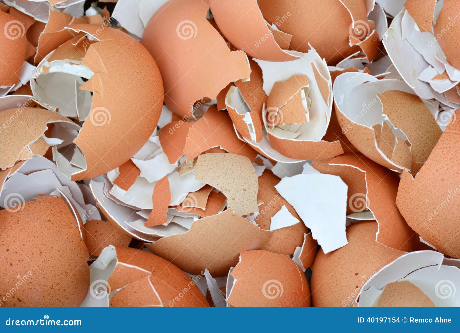 crushed eggshells