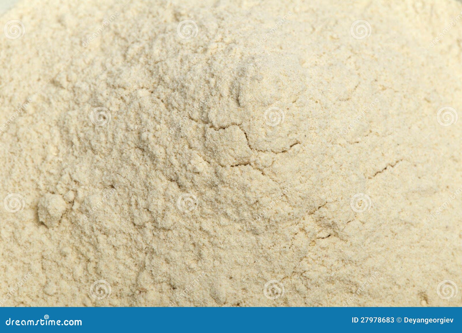 Crushed garlic powder stock image. Image of flavor, health 27978683