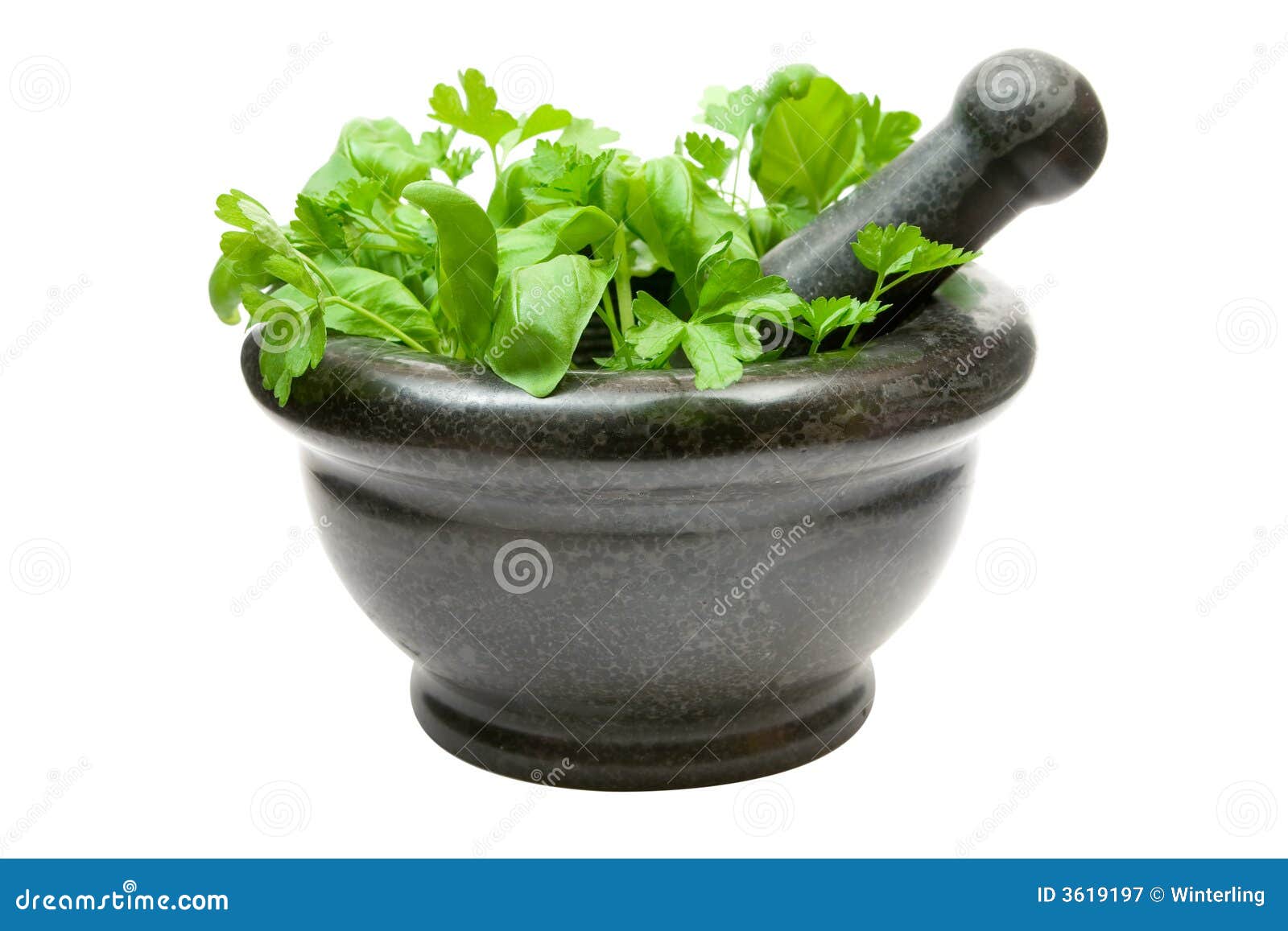 Crushing Fresh Herbs stock image. Image of dark, botanical 3619197