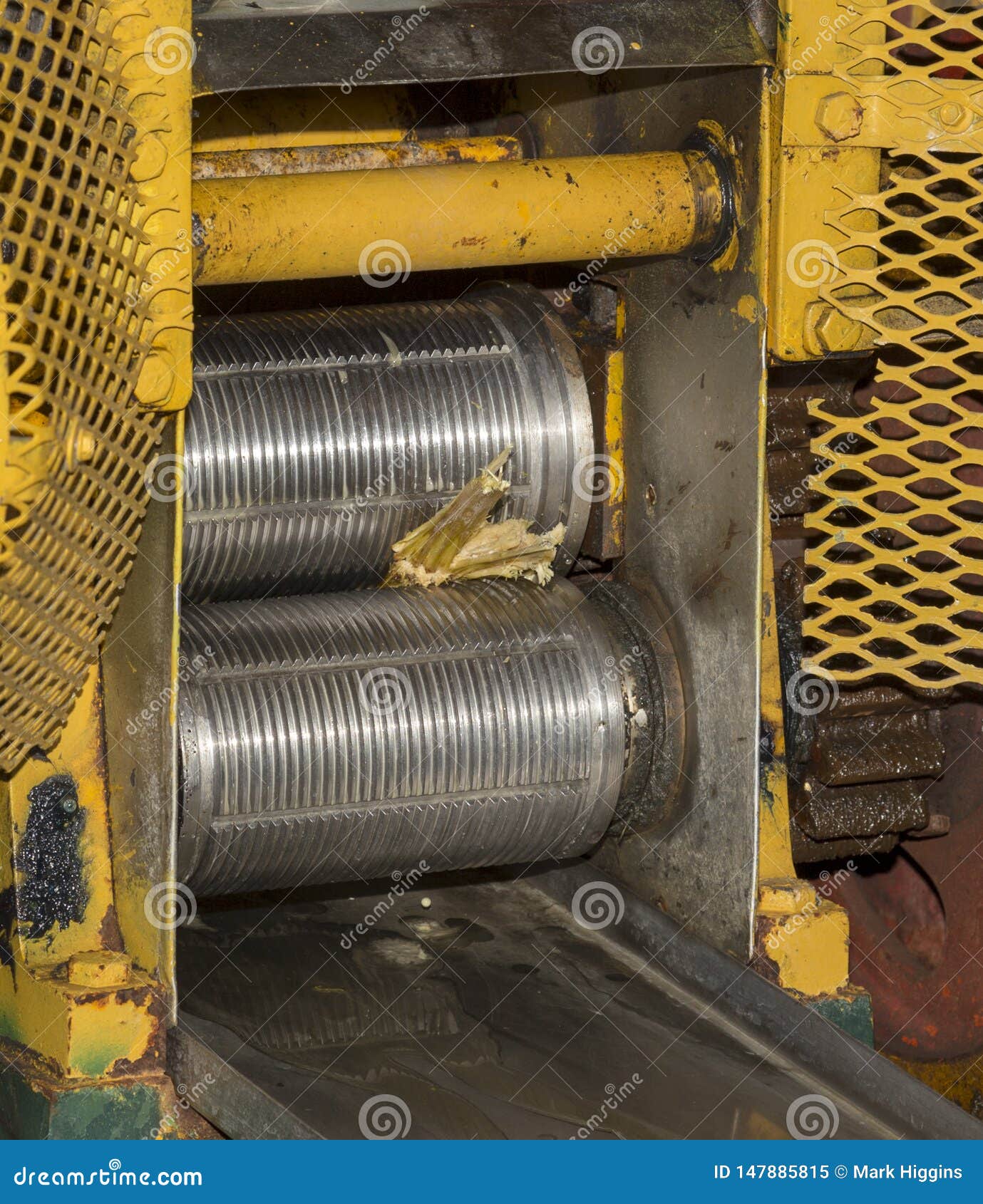 Crushing sugar cane stock image. Image of fresh, squeeze 147885815