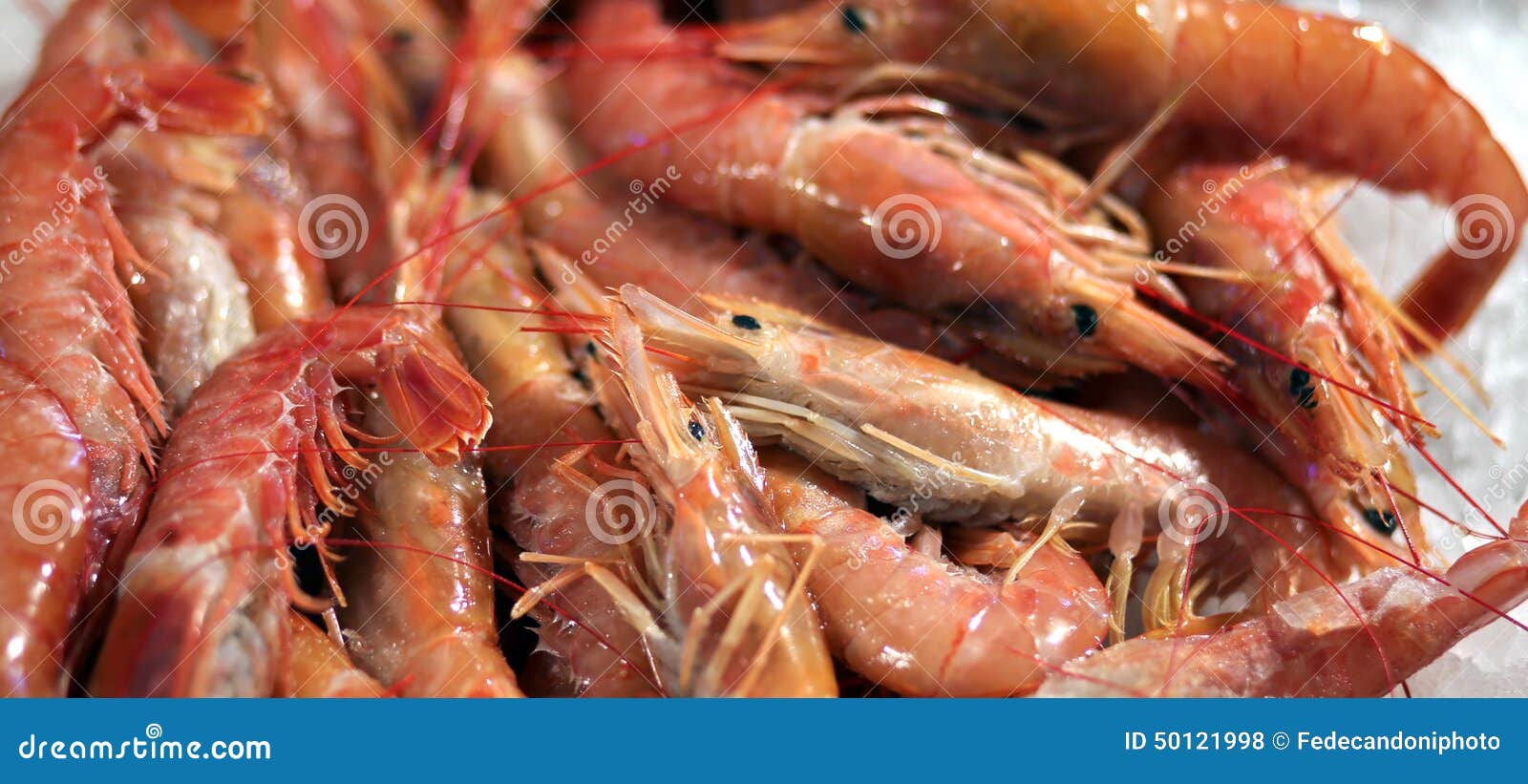 crustaceans for sale in the market