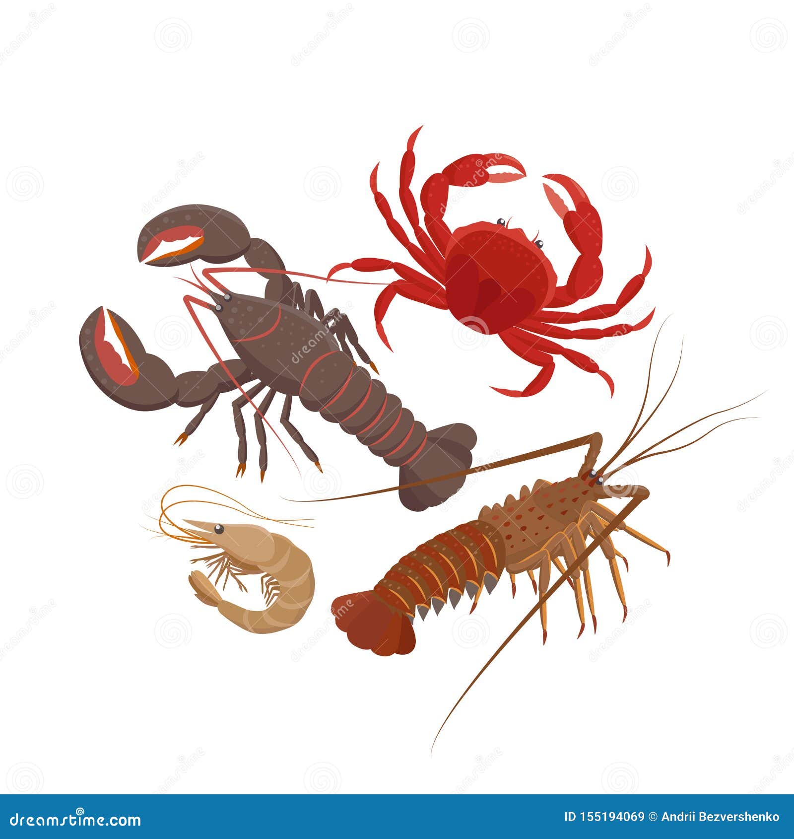 crustaceans set of  s in flat   on white background. lobster, spiny lobster, srimp, rab.