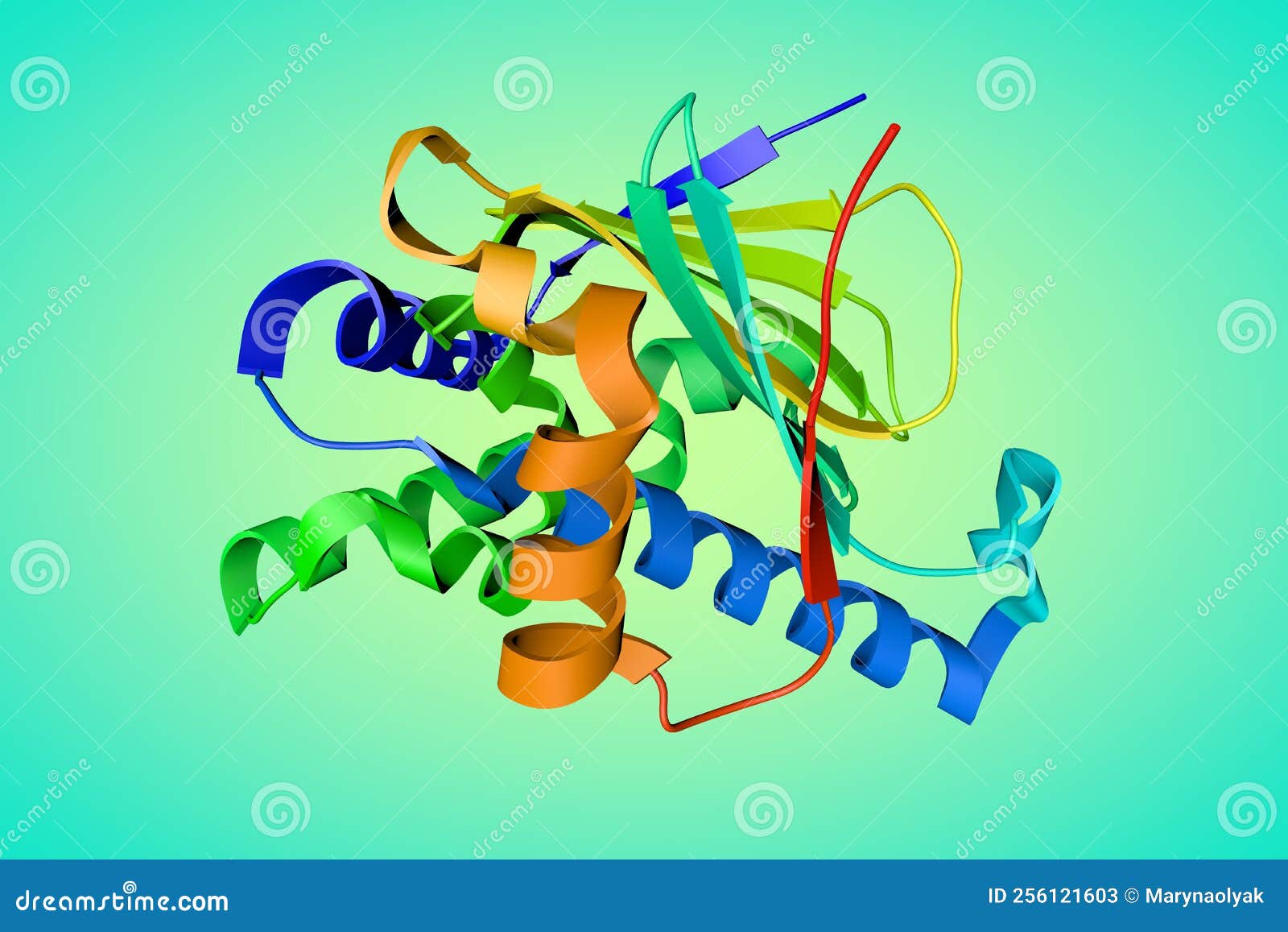 cryogenic human heat-shock protein hsp 90a-ntd bound to adenine. ribbons diagram based on protein data bank entry 7s90