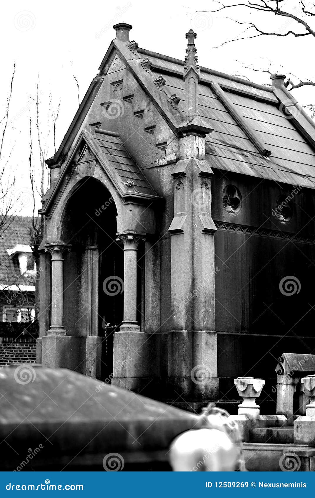 clipt crypt clipt crypt