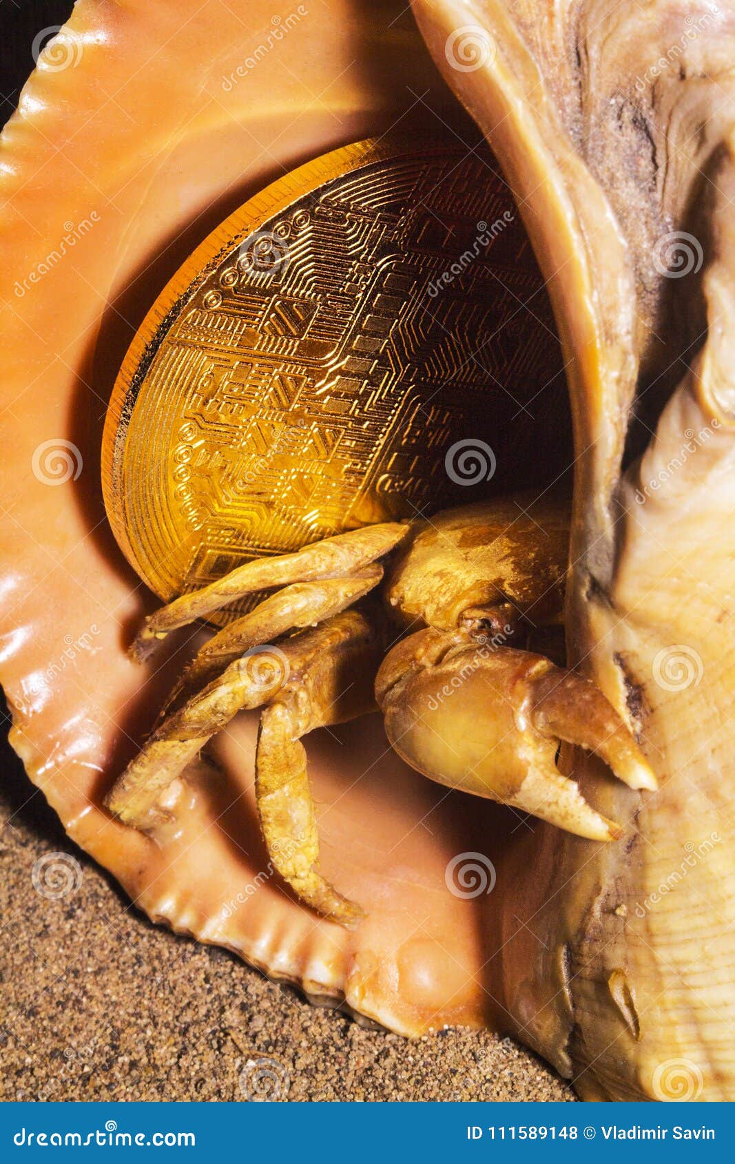 Bitcoin crab shell 1 stock photo. Image of currency - 111589148